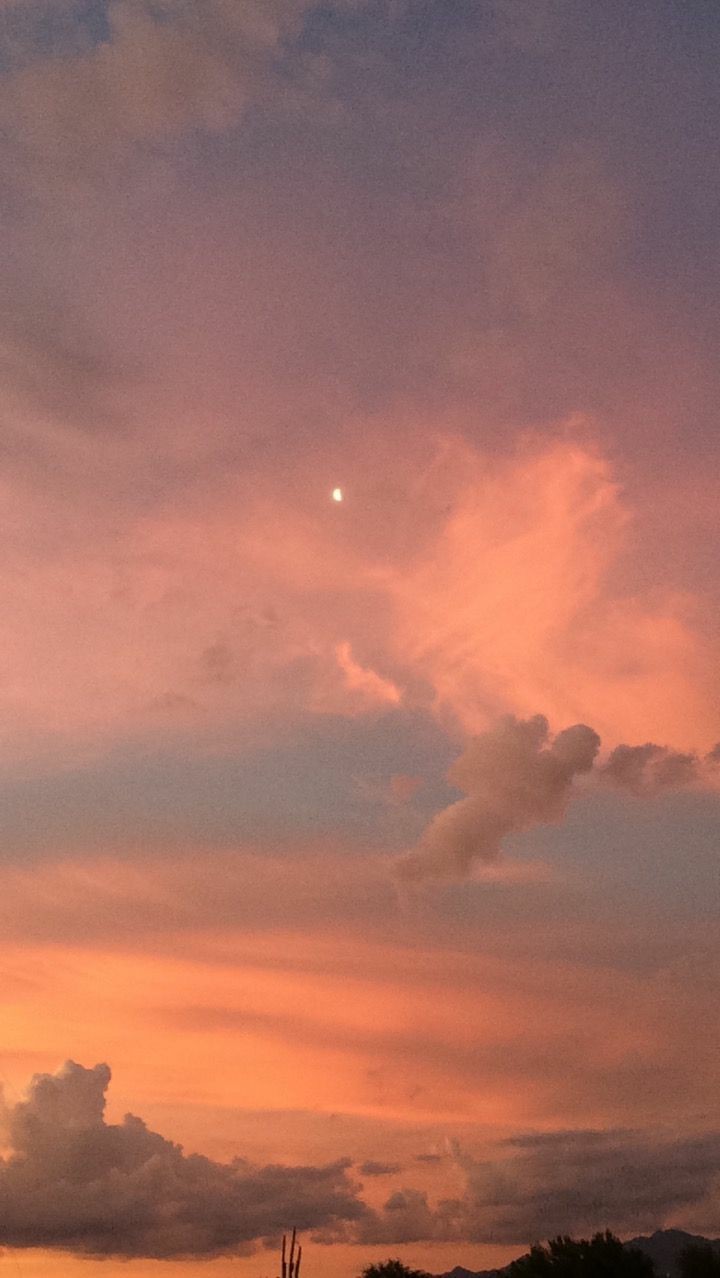 🌿Hunter🌿 OnlyFans header