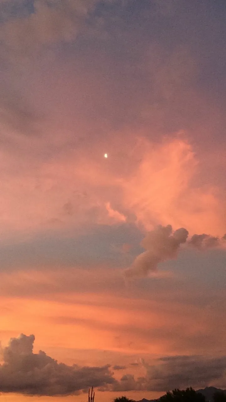 🌿Hunter🌿 OnlyFans header