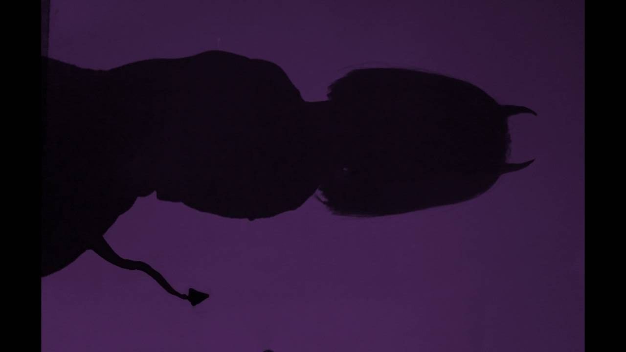 Fernanda Colman OnlyFans header