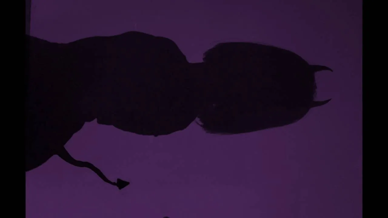 Fernanda Colman OnlyFans header