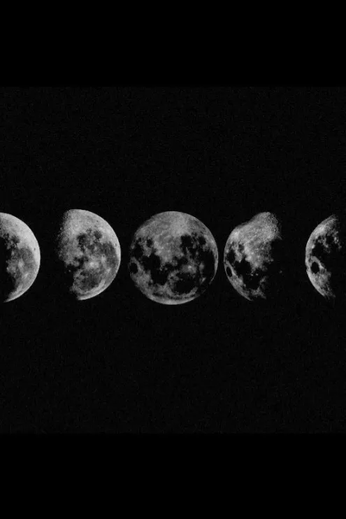 Fernandha’s OnlyFans header