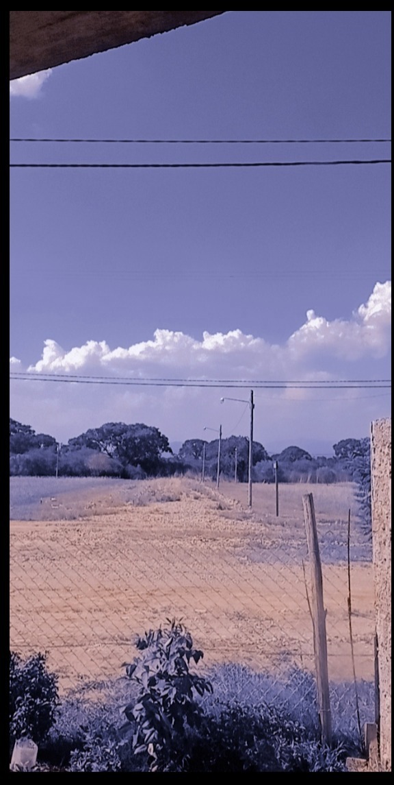 Fernando Ochoa OnlyFans header