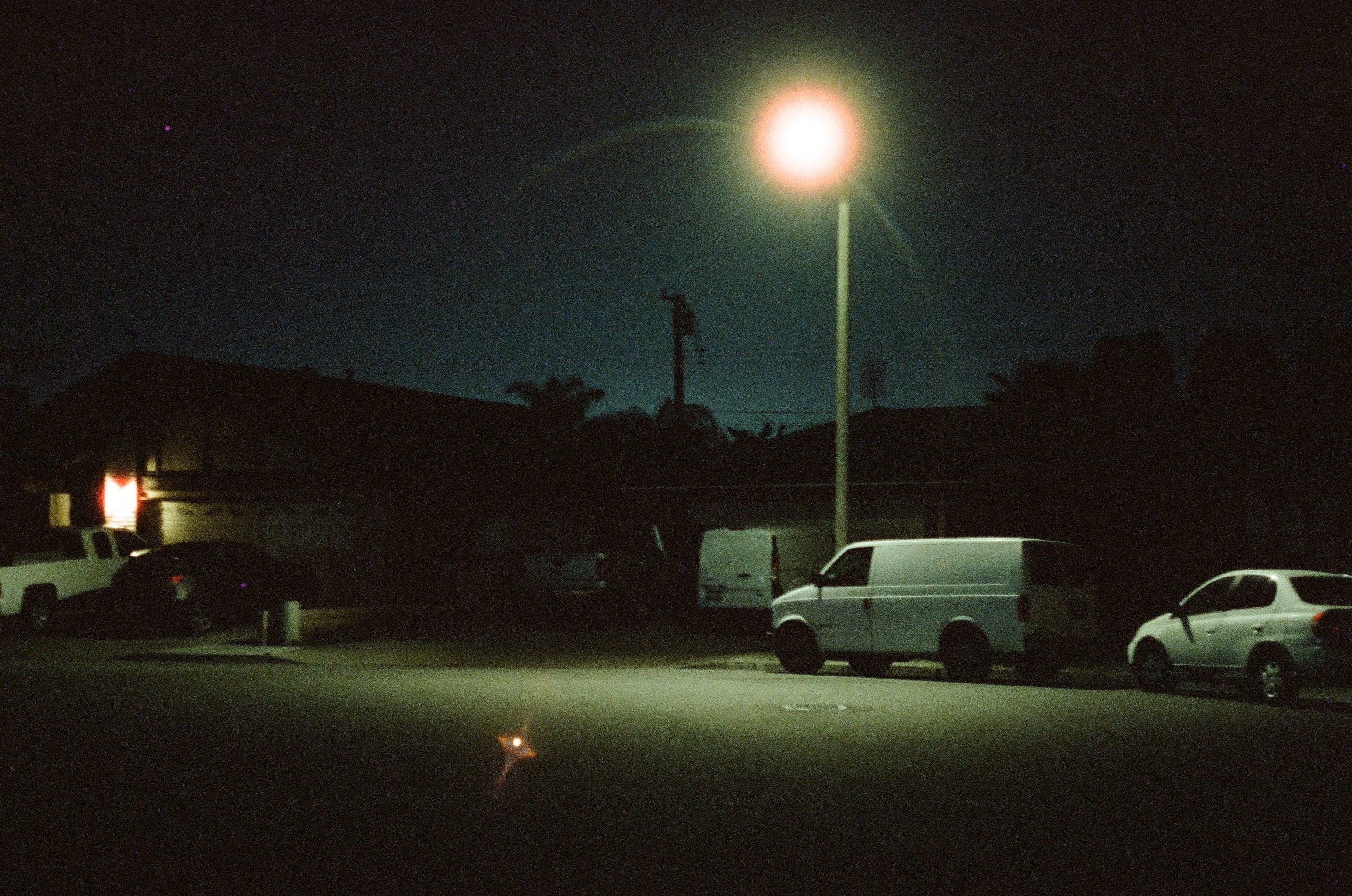 🐈🌺fern🌺🌈 (NSFW) OnlyFans header