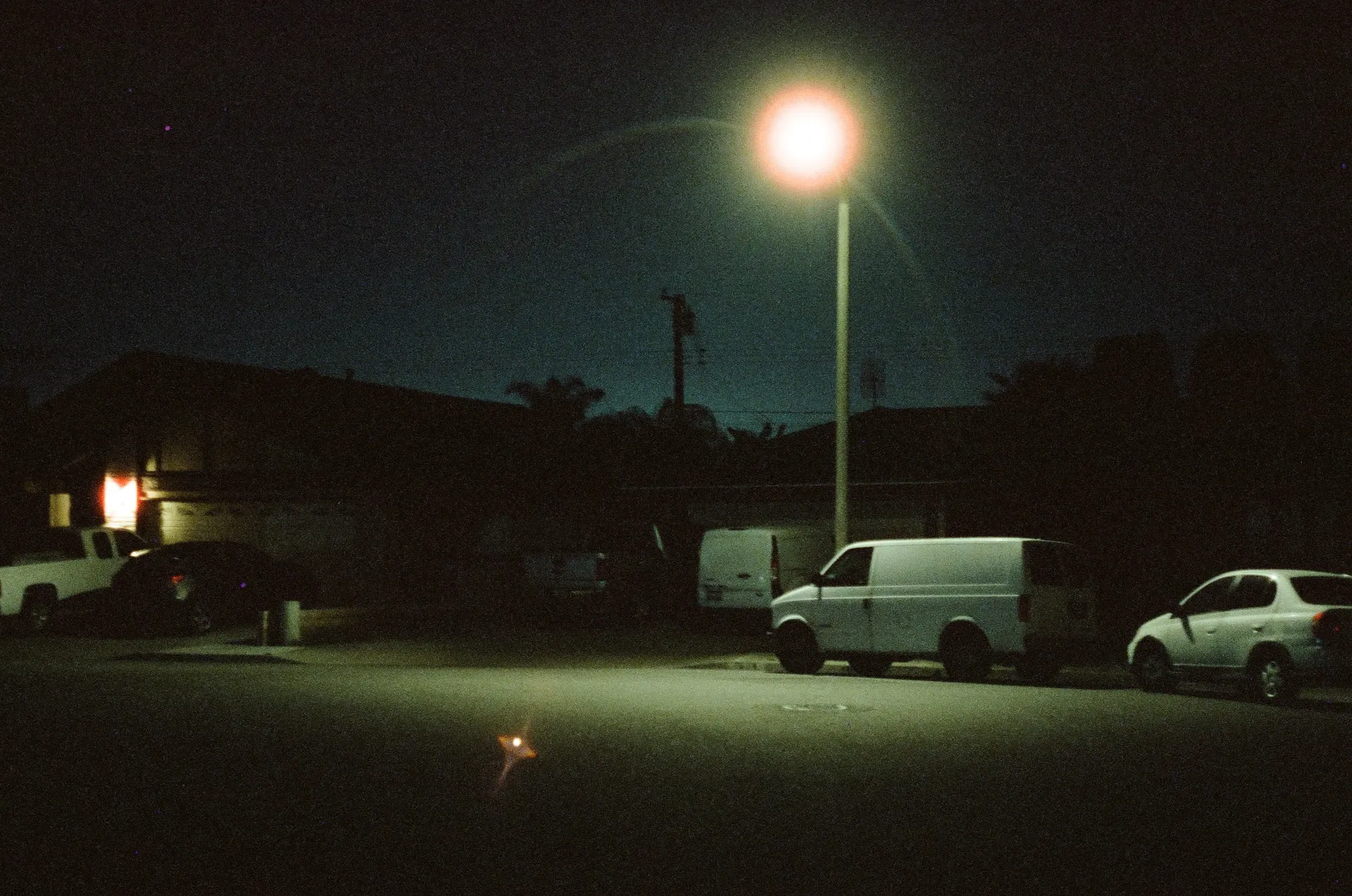 🐈🌺fern🌺🌈 (NSFW) OnlyFans header