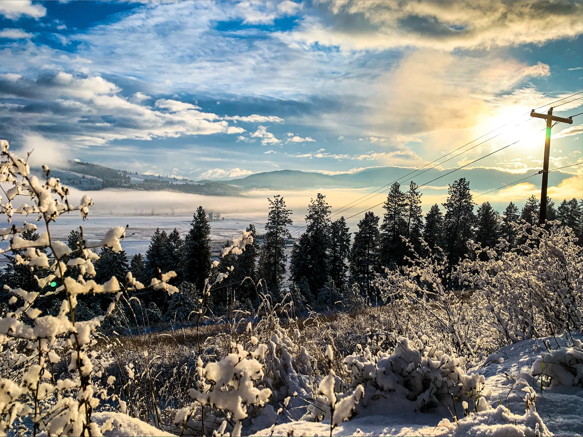 FerociousFinDom OnlyFans header