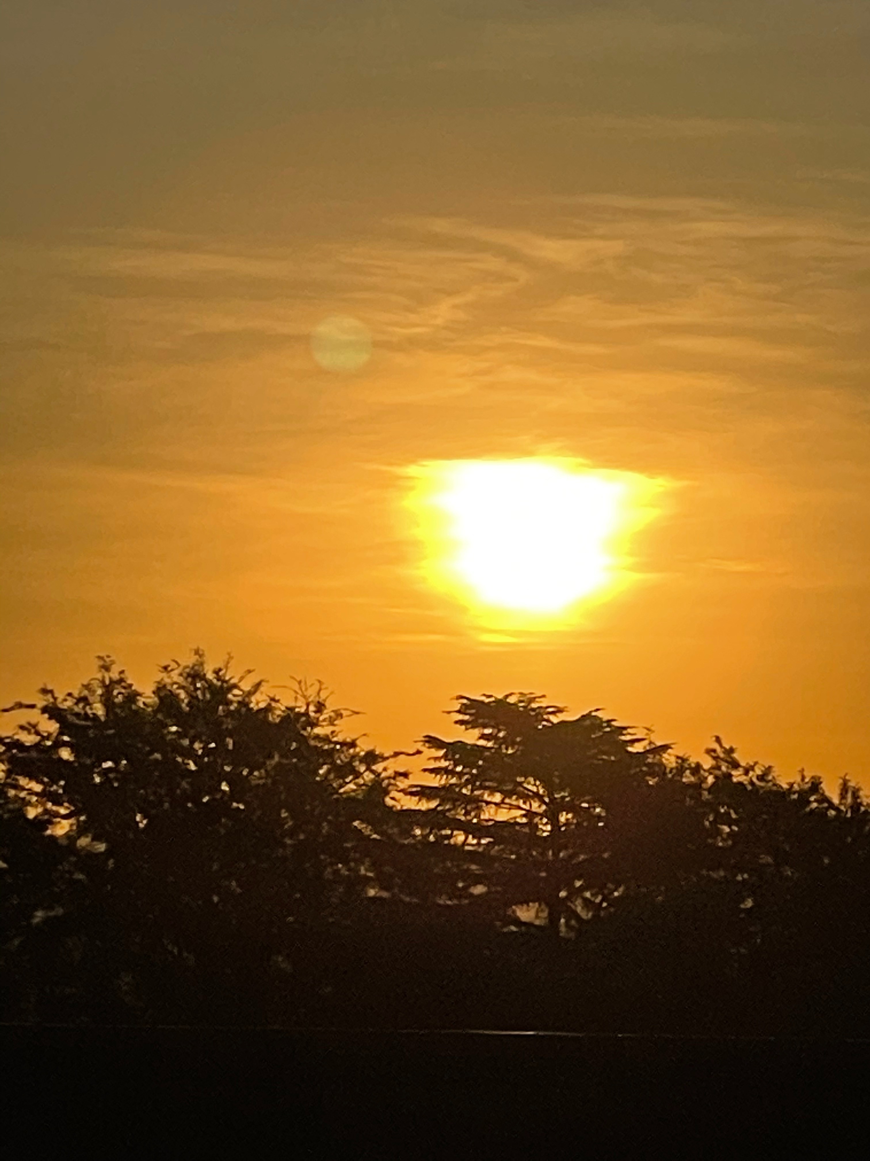 Ferra OnlyFans header