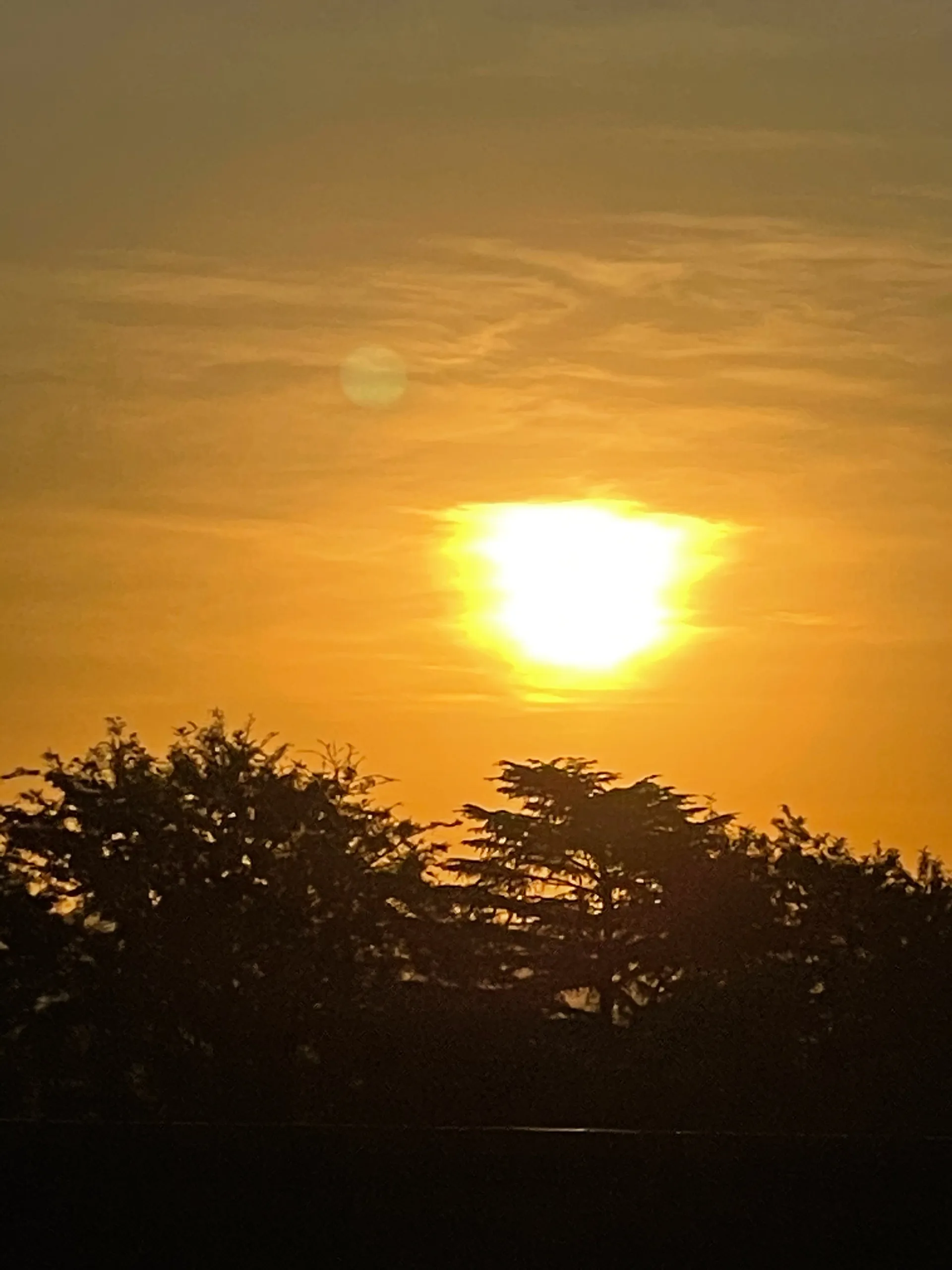 Ferra OnlyFans header