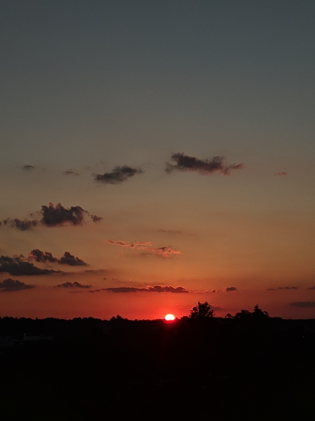 Ferrer OnlyFans header