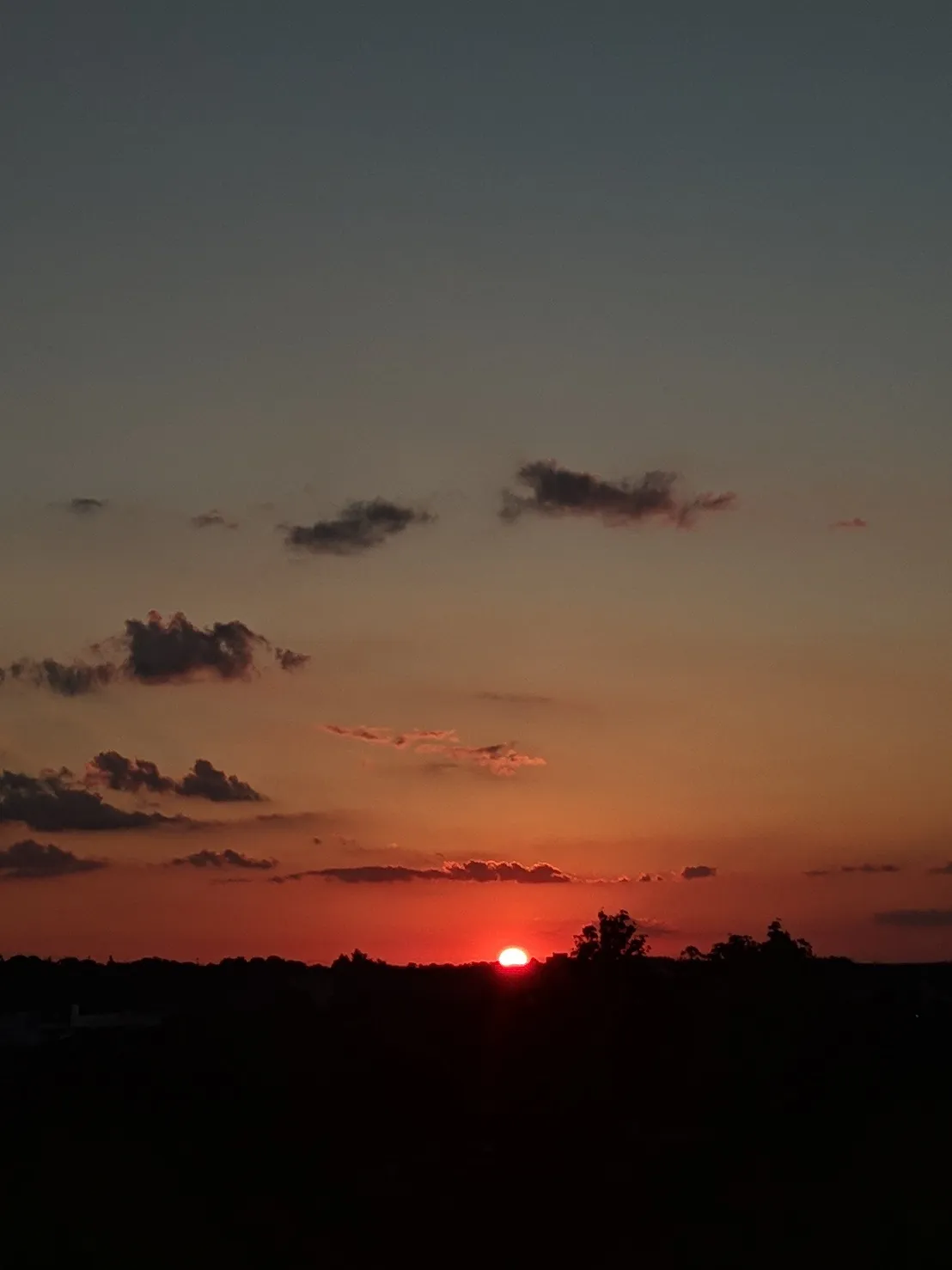 Ferrer OnlyFans header