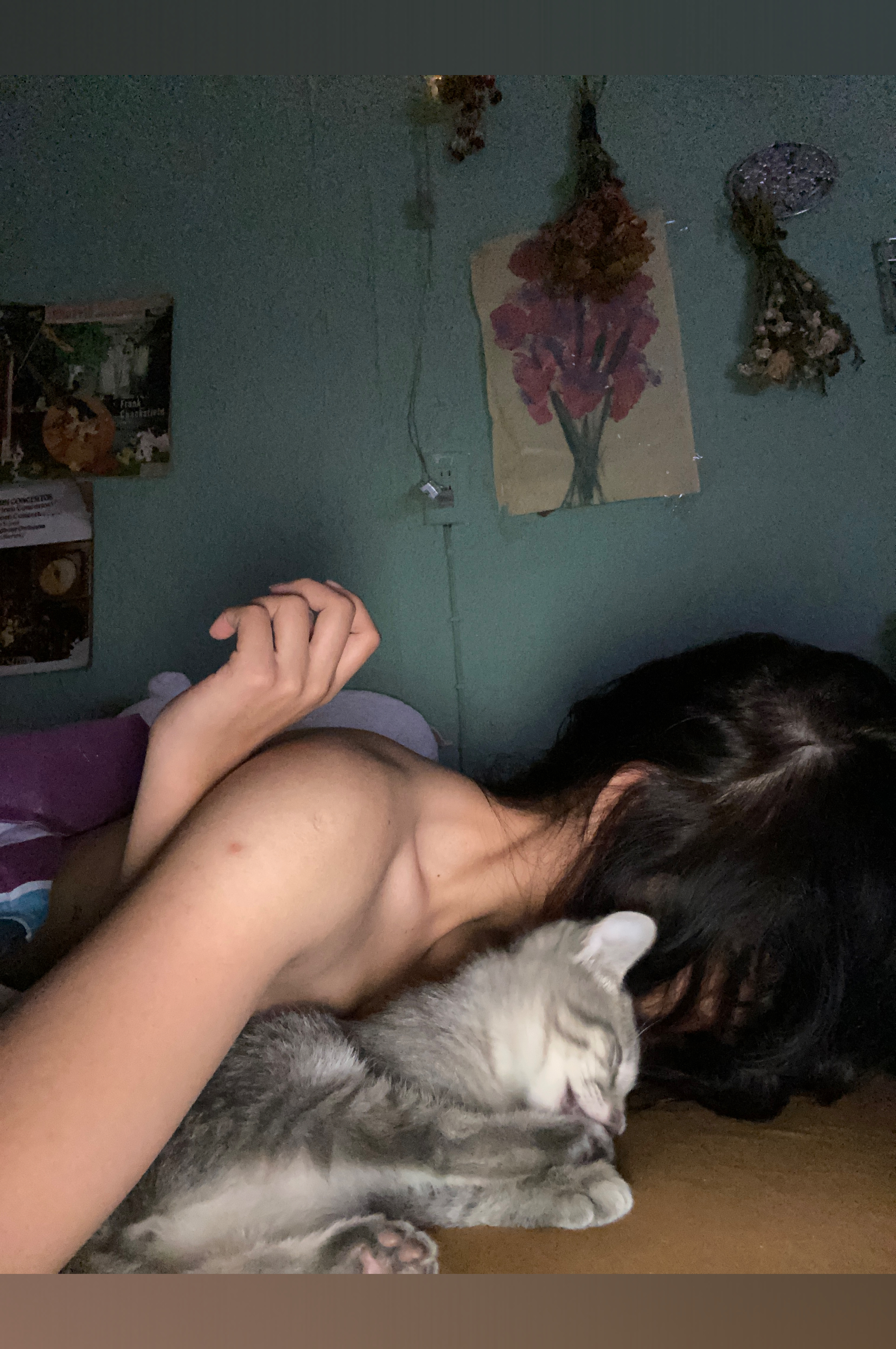 Fernanda OnlyFans header