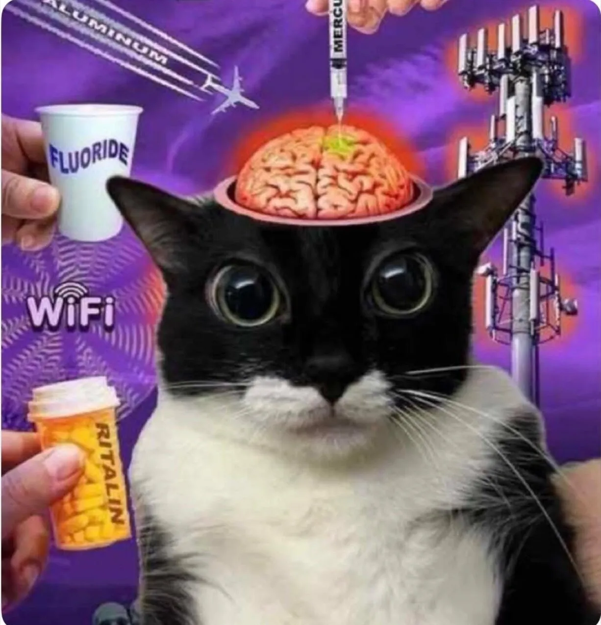 Ferxito_bhm OnlyFans header