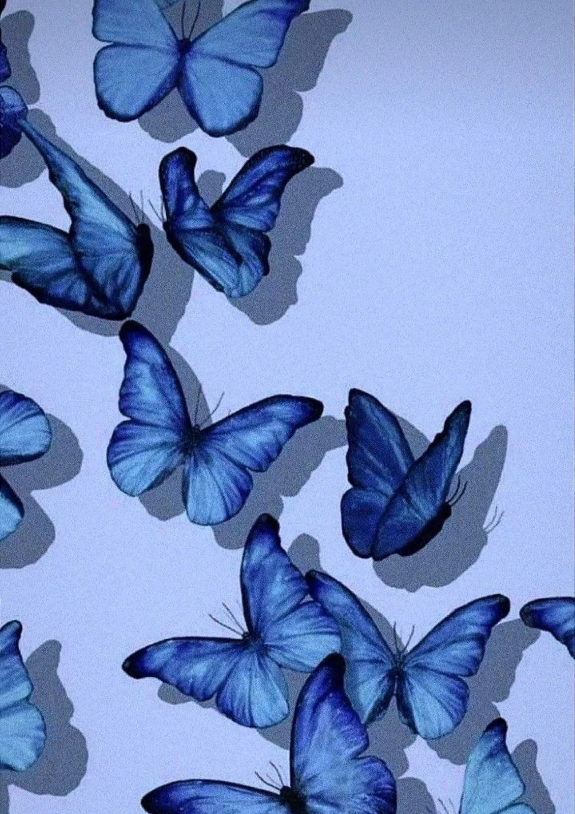 FERXXA OnlyFans header