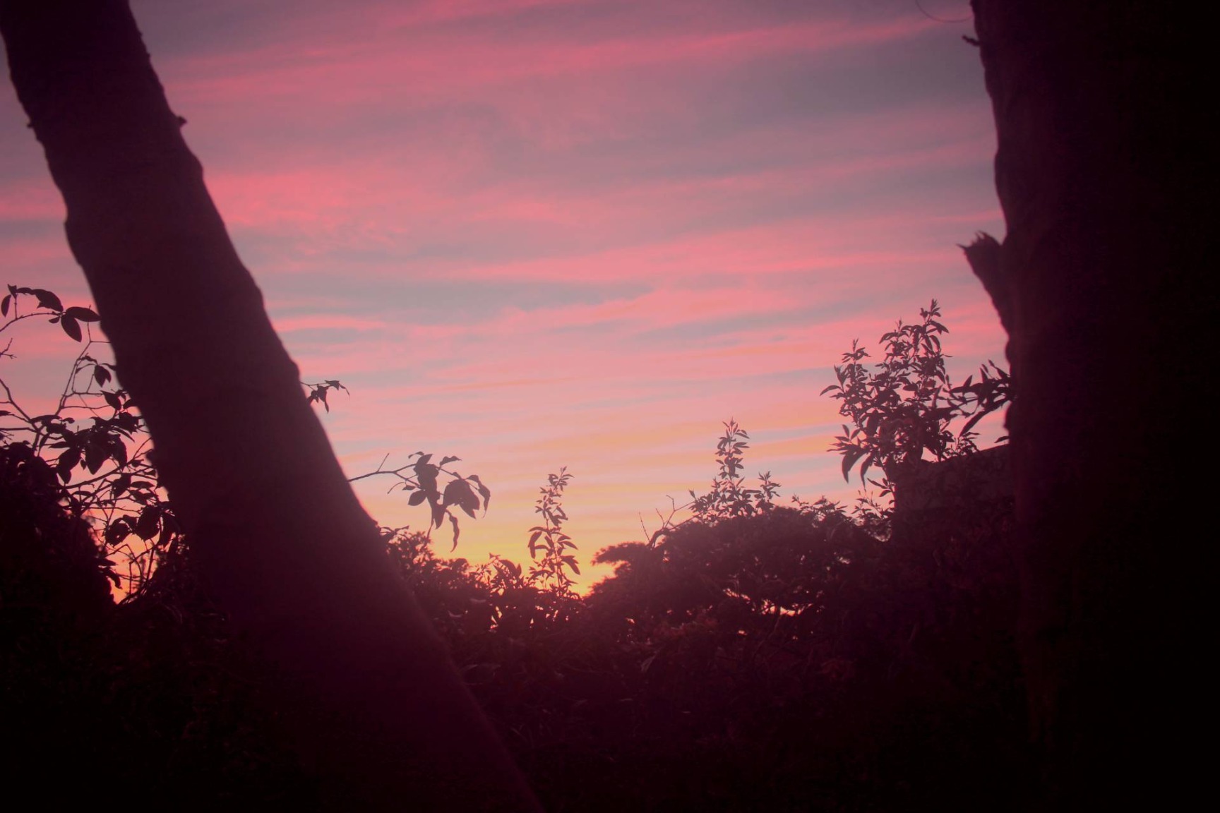 FetishBoy OnlyFans header