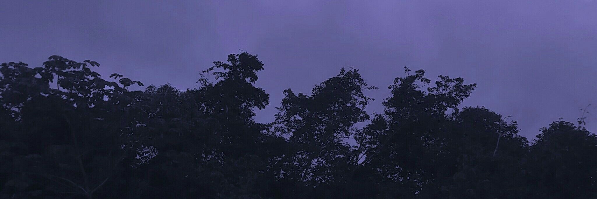 FetishLover OnlyFans header