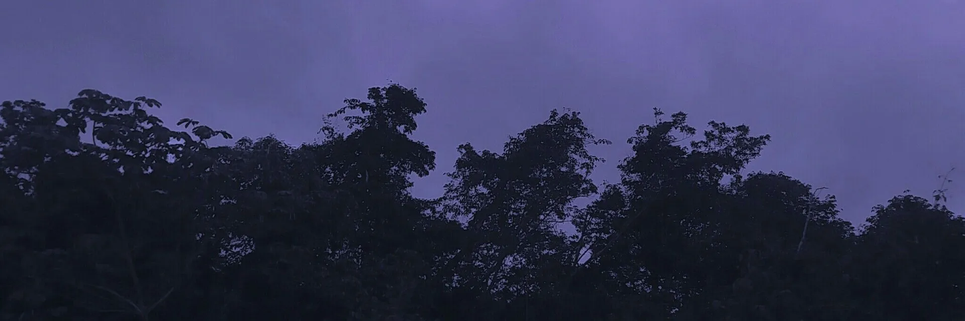 FetishLover OnlyFans header