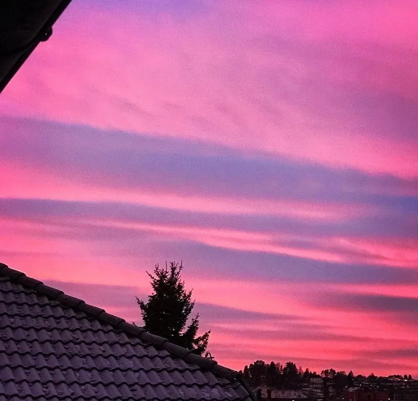 Nikki OnlyFans header