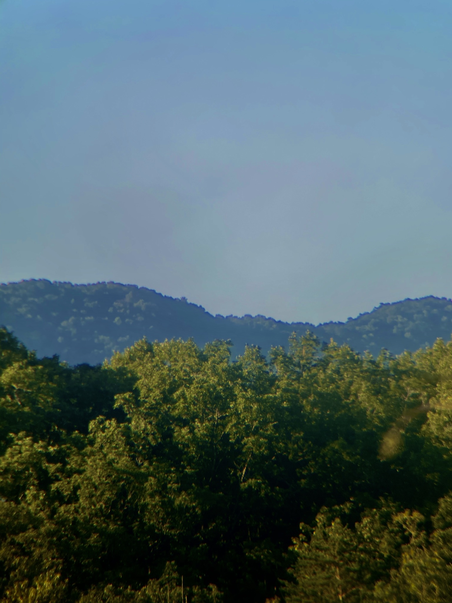 Chris OnlyFans header