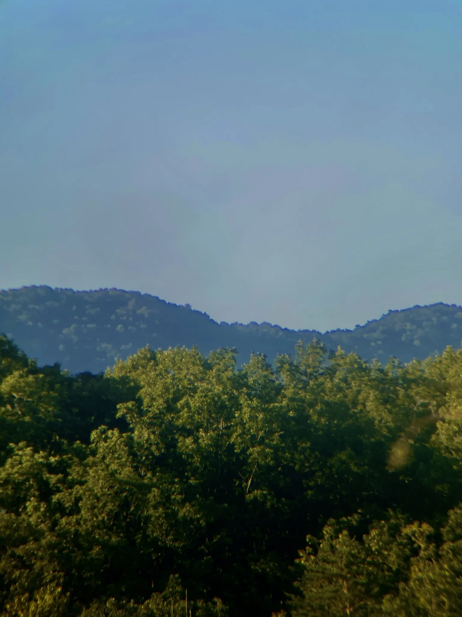 Chris OnlyFans header