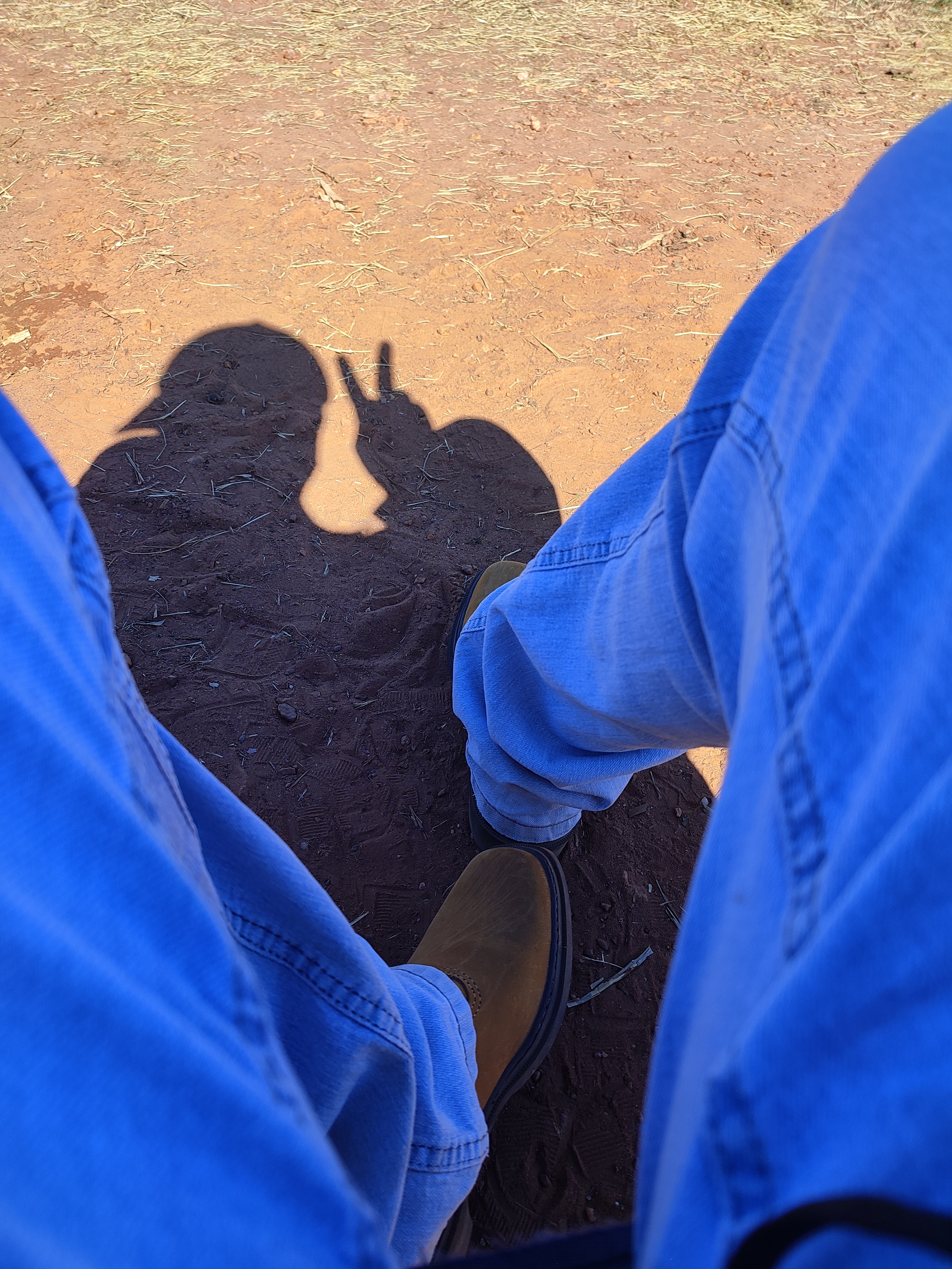 Felipe Barbosa OnlyFans header