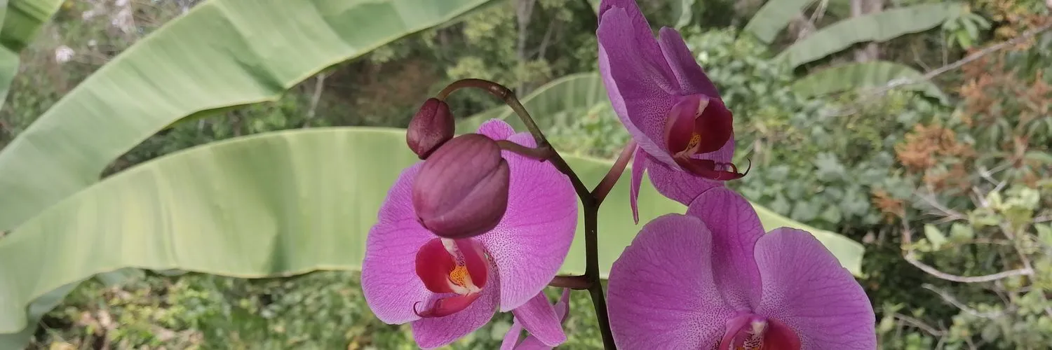 Fredy Alonso Higuita Goez OnlyFans header