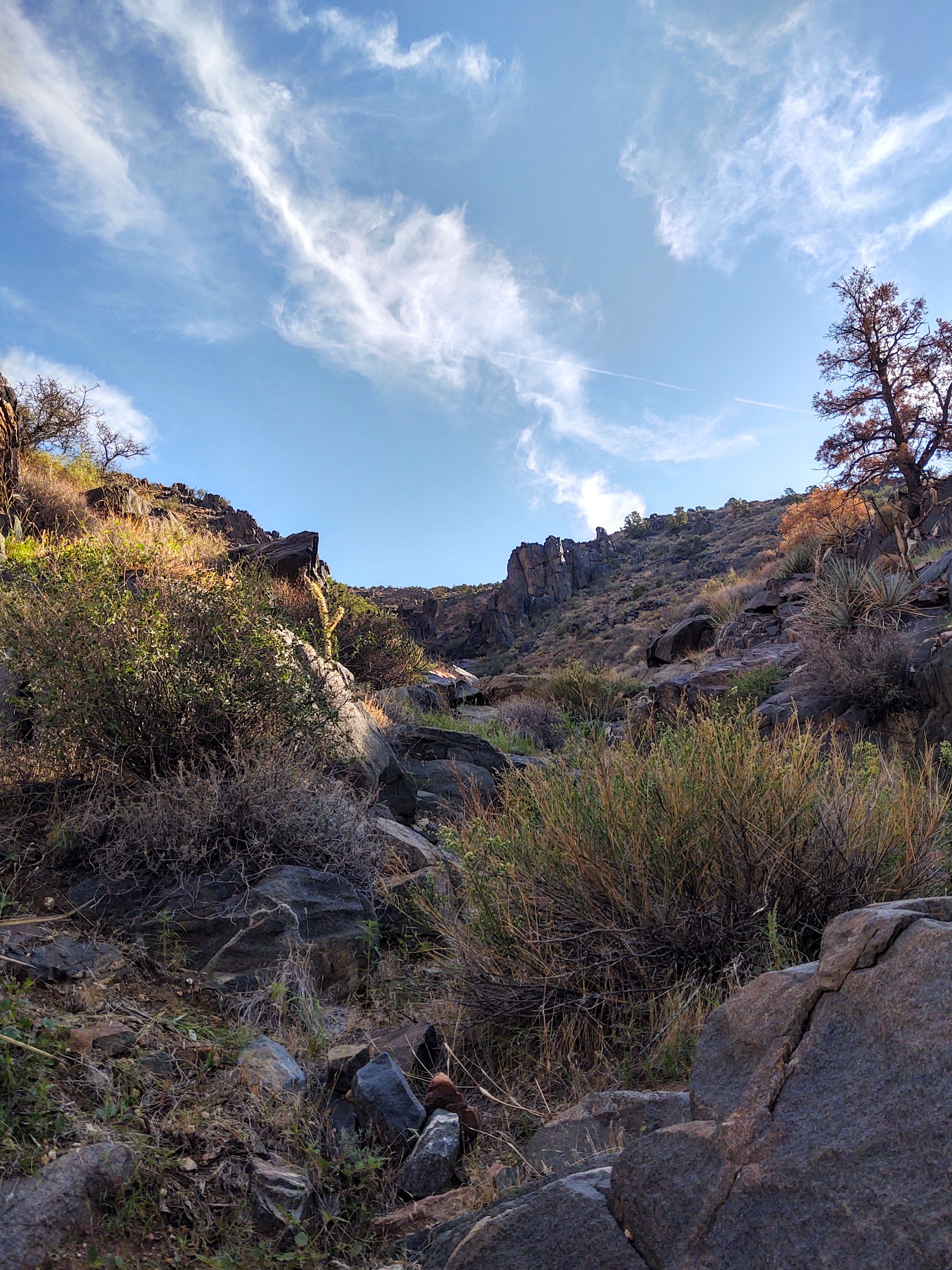 Fianna Bex OnlyFans header