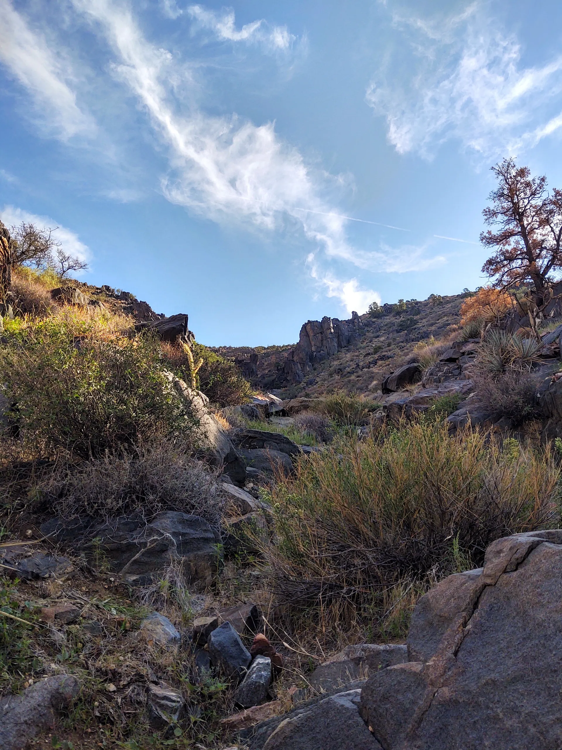 Fianna Bex OnlyFans header