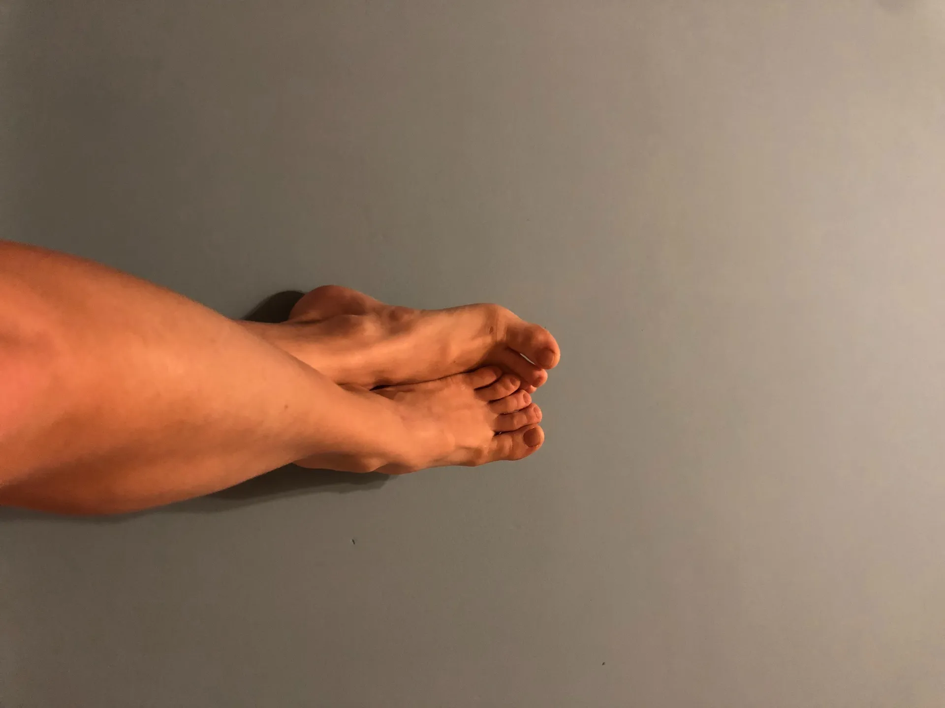 Fibi-feet OnlyFans header