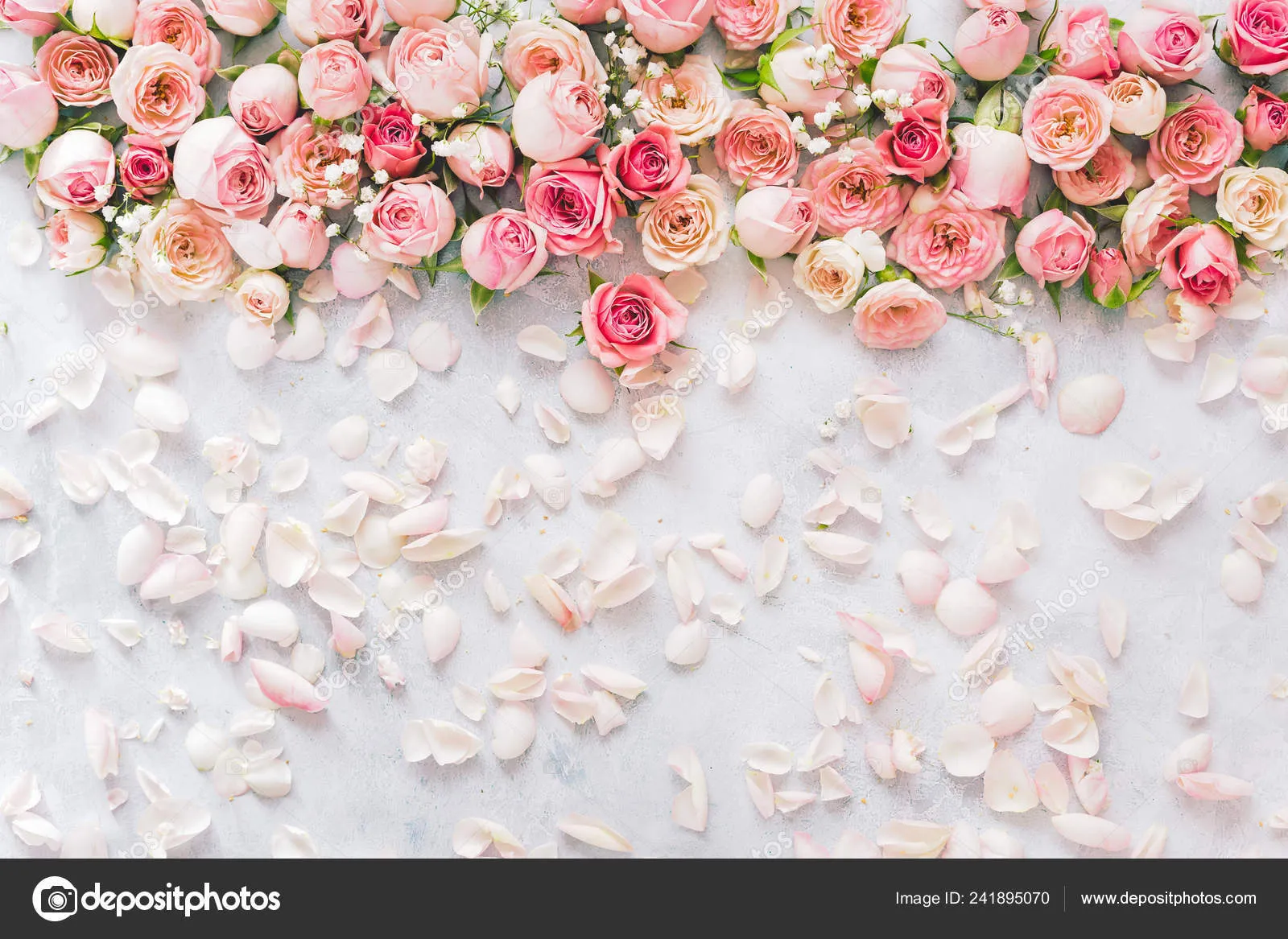 Phatbaddie😈🍆💦 OnlyFans header