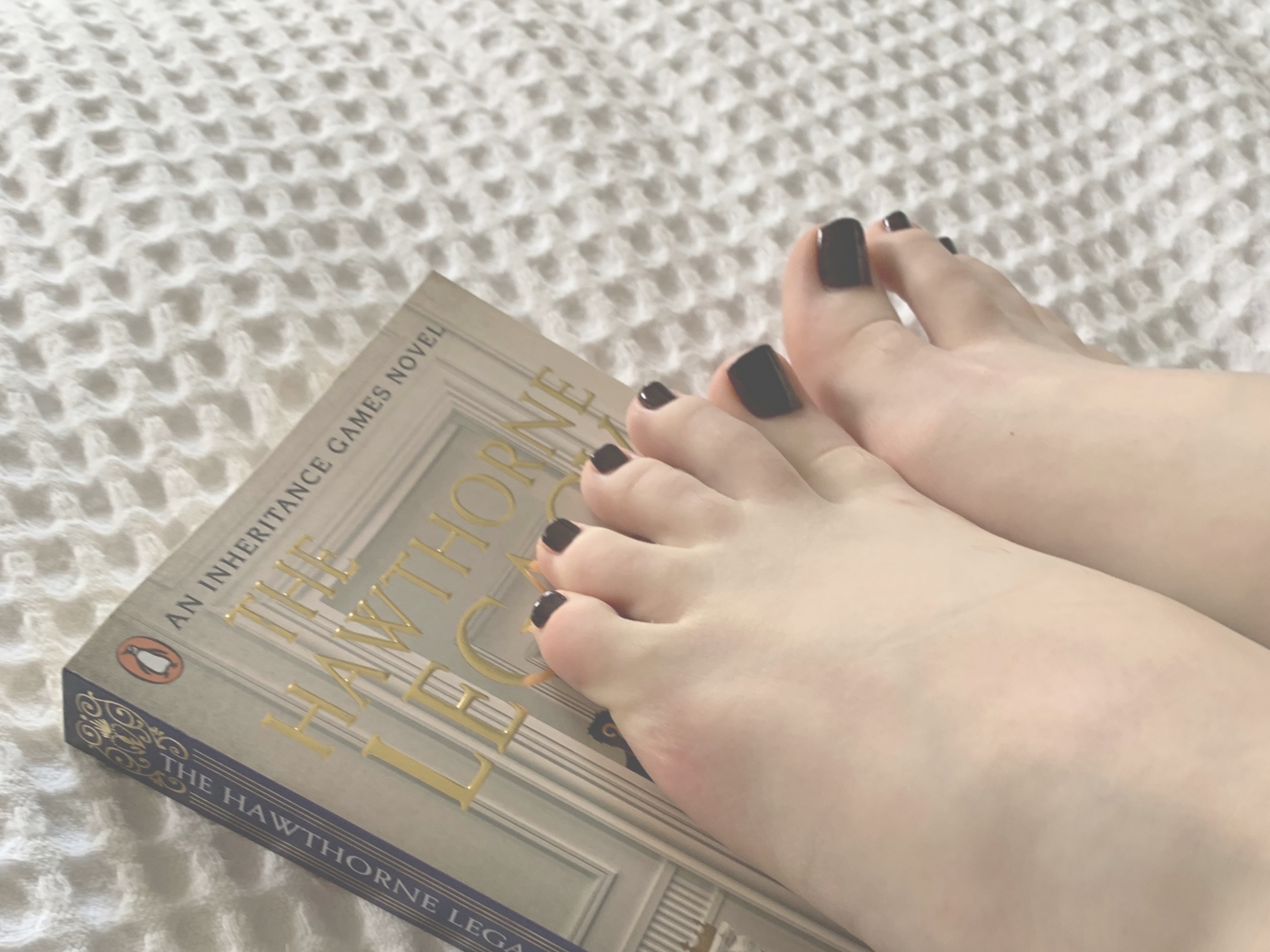 FictionFeet OnlyFans header