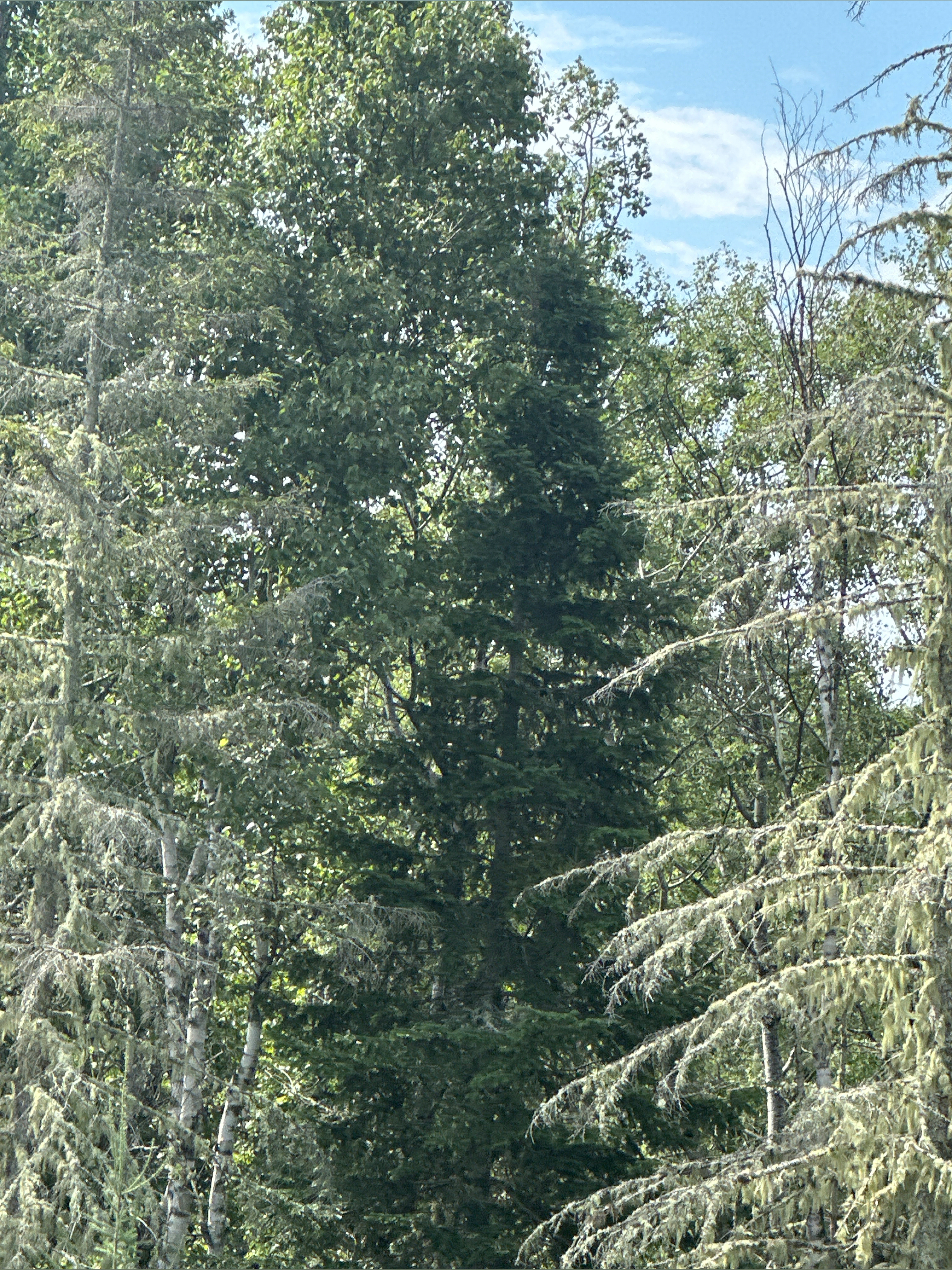 Heather Albert OnlyFans header