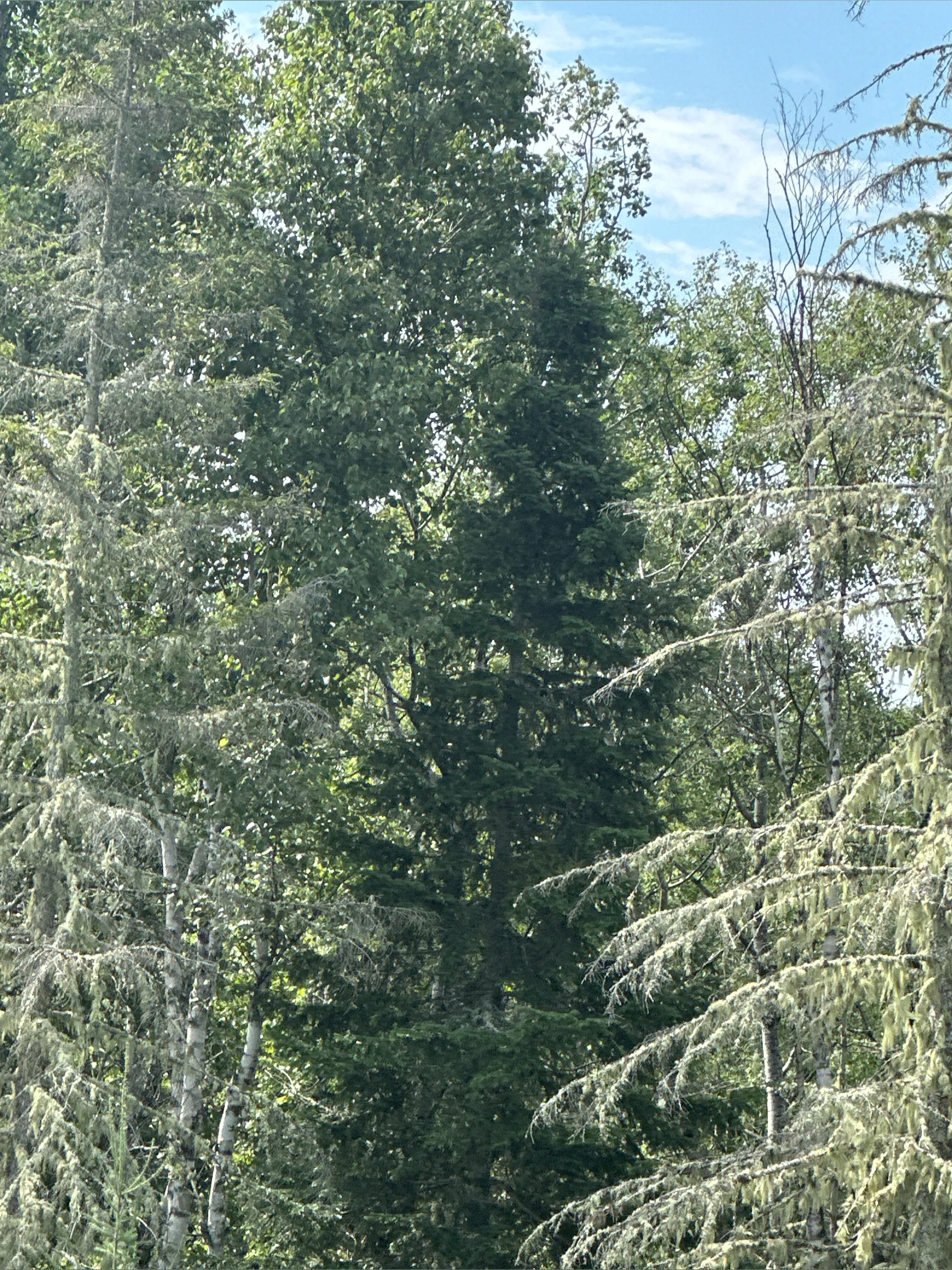 Heather Albert OnlyFans header