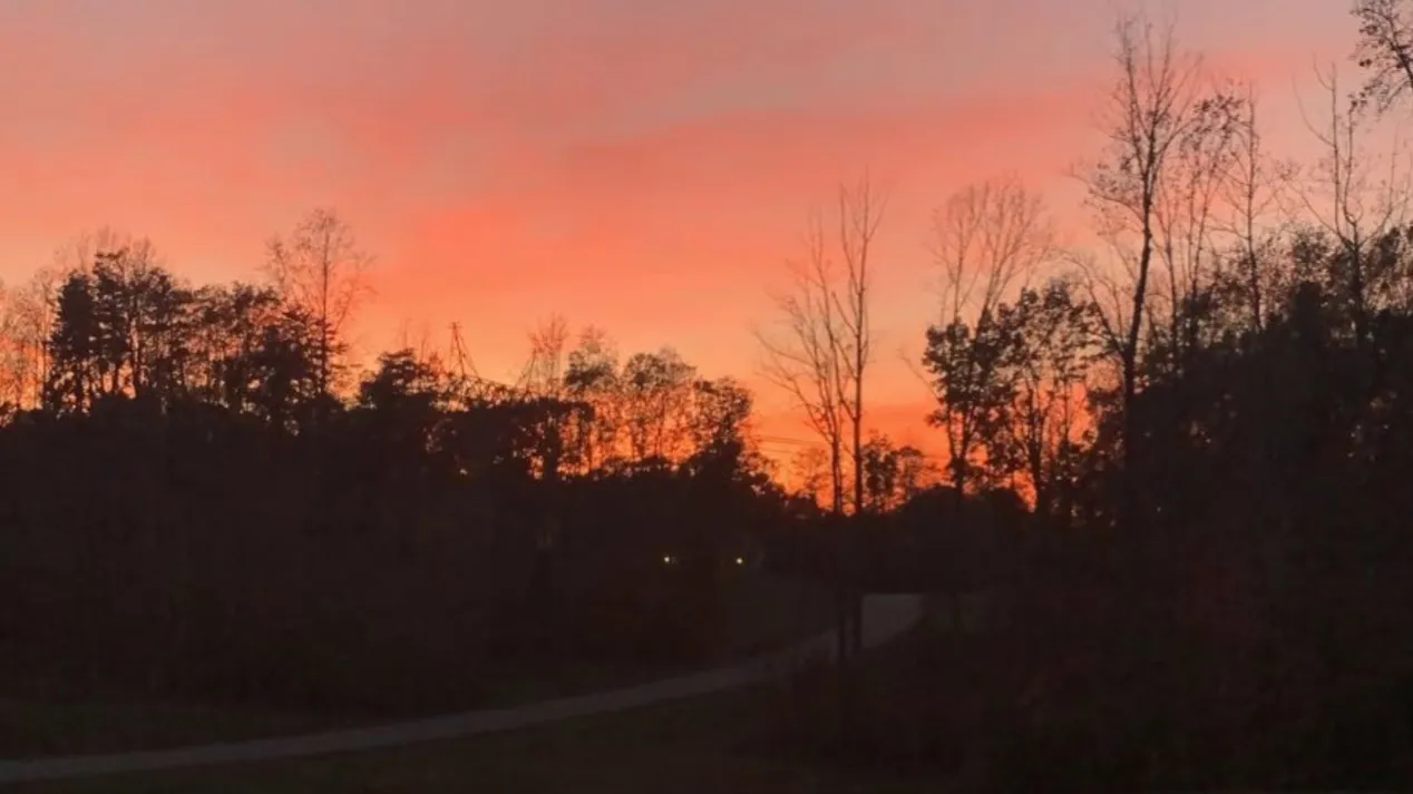 Veronica OnlyFans header