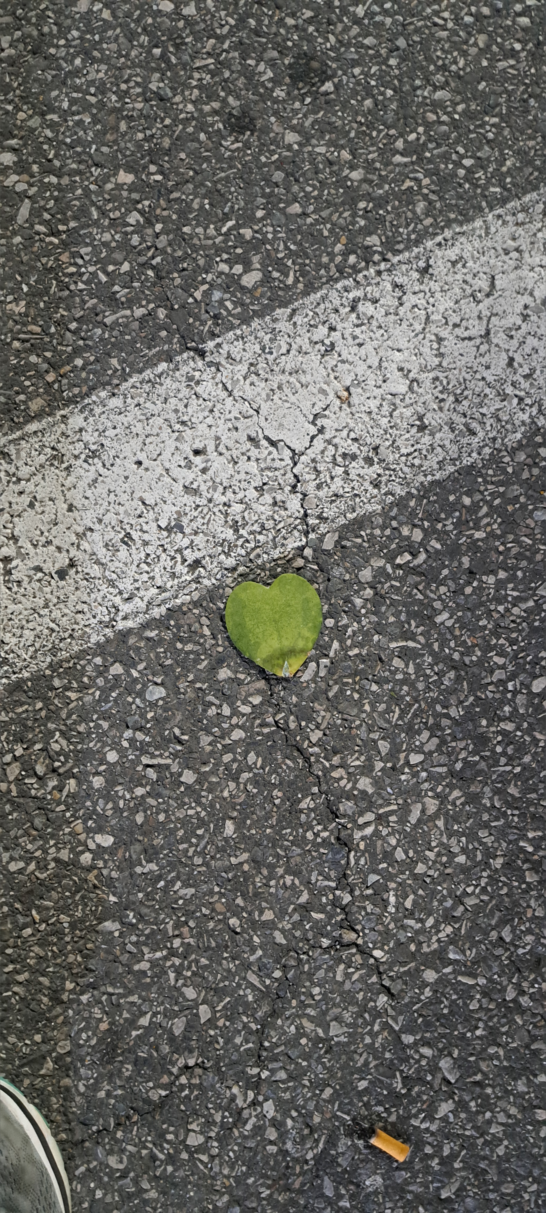 FierceFoxxy OnlyFans header