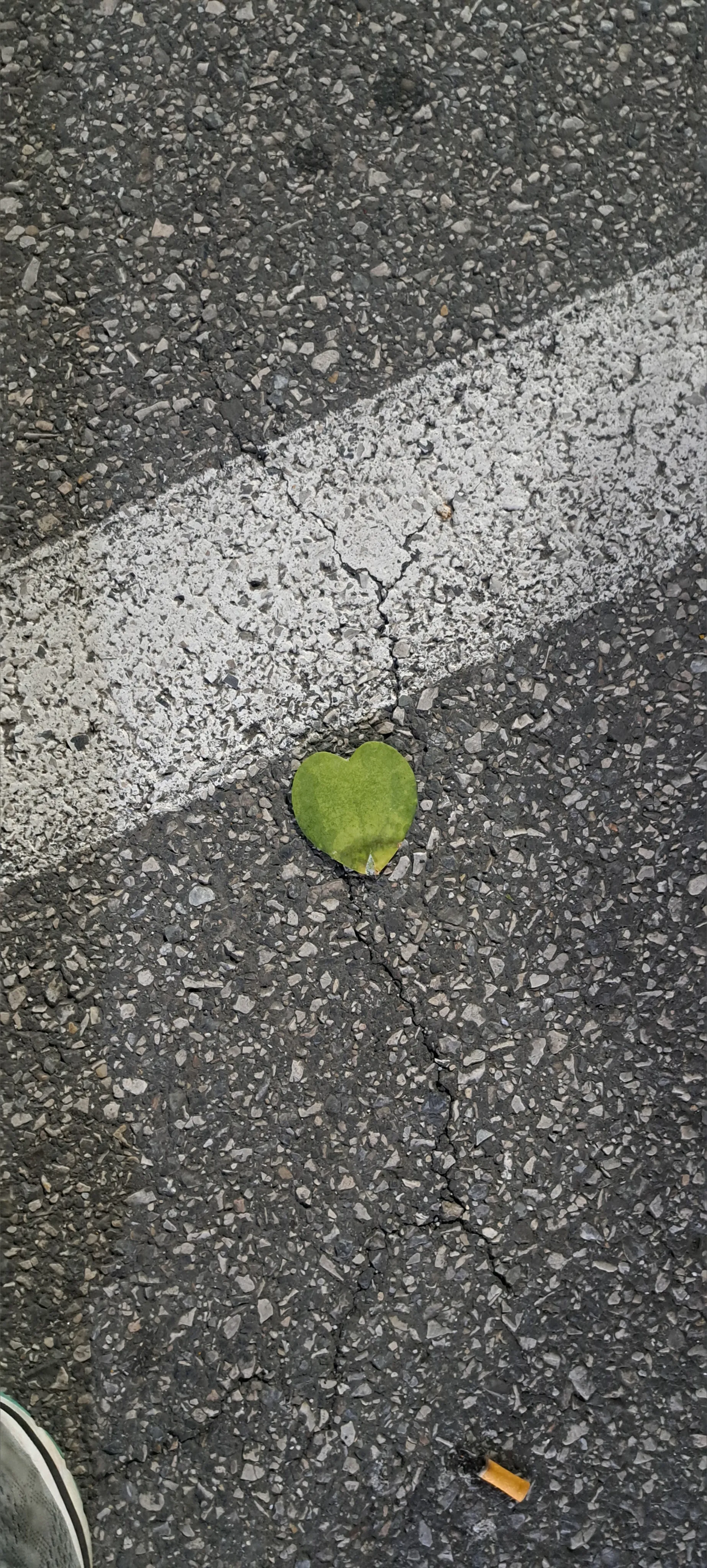 FierceFoxxy OnlyFans header