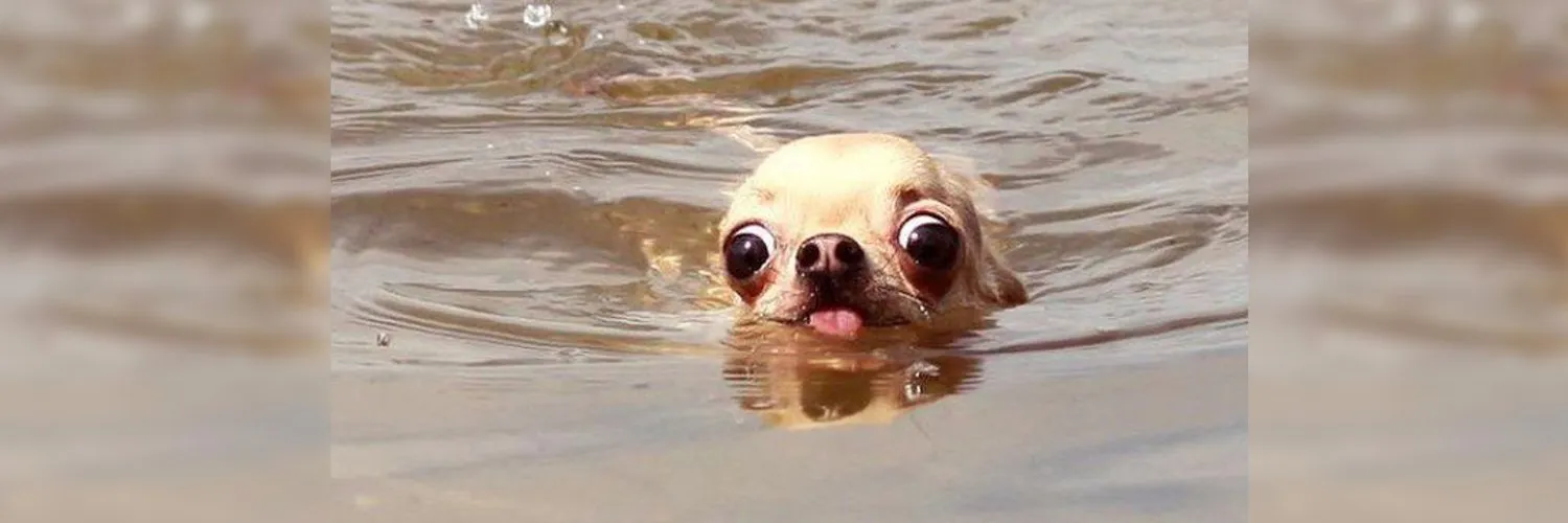 Gerardo Pérez OnlyFans header