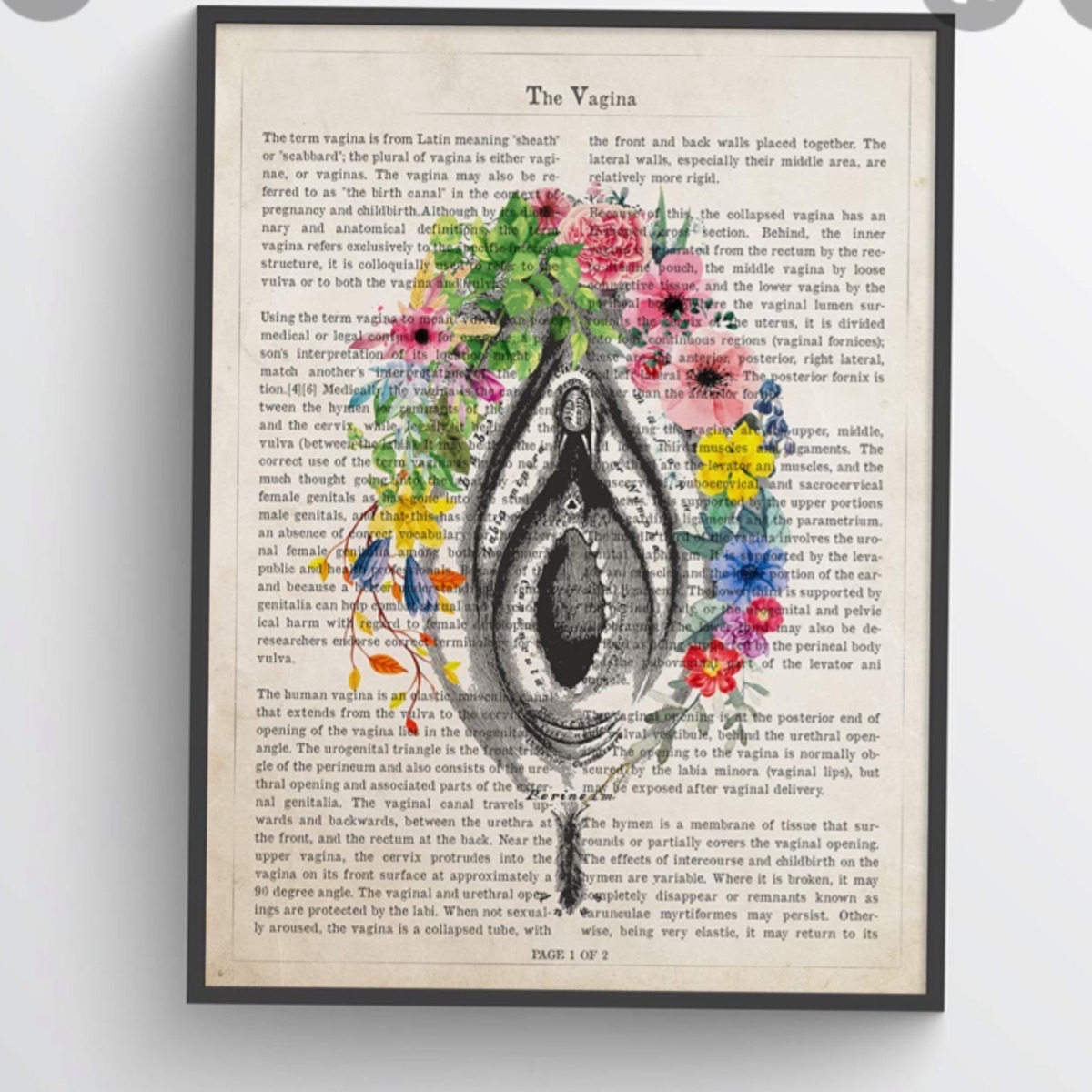 That fierce woman OnlyFans header