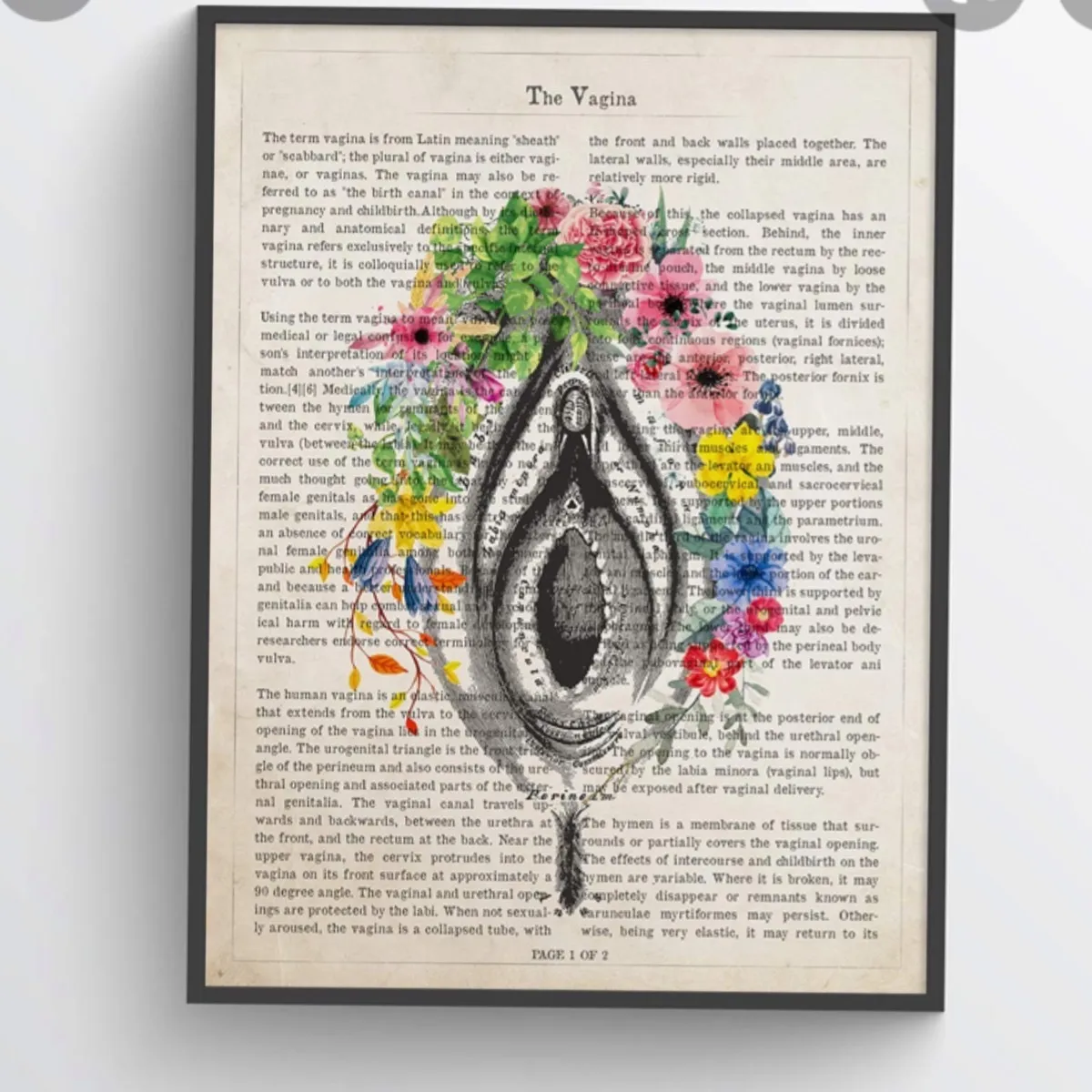 That fierce woman OnlyFans header