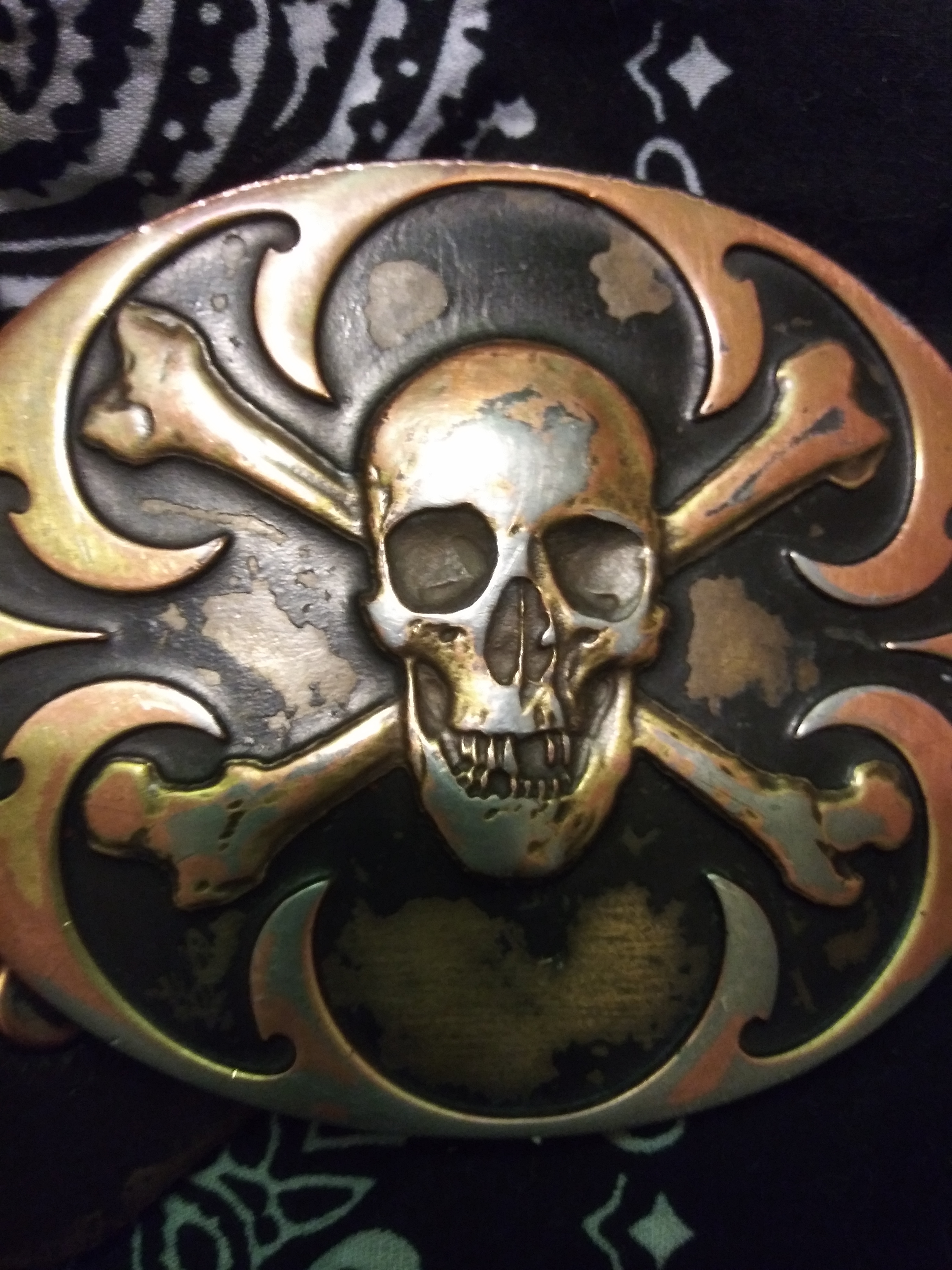 Steven Fierro OnlyFans header