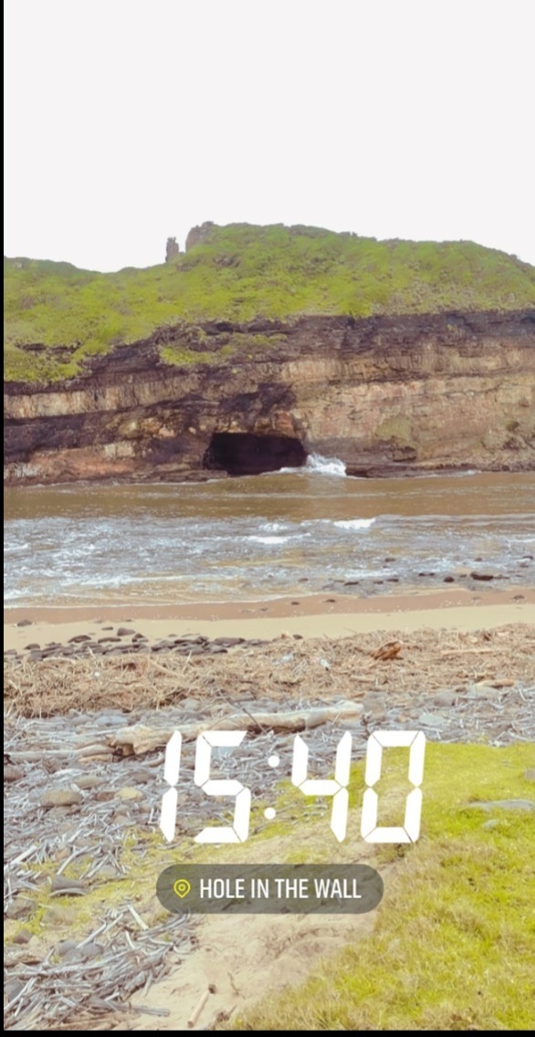 Fiery lioness OnlyFans header