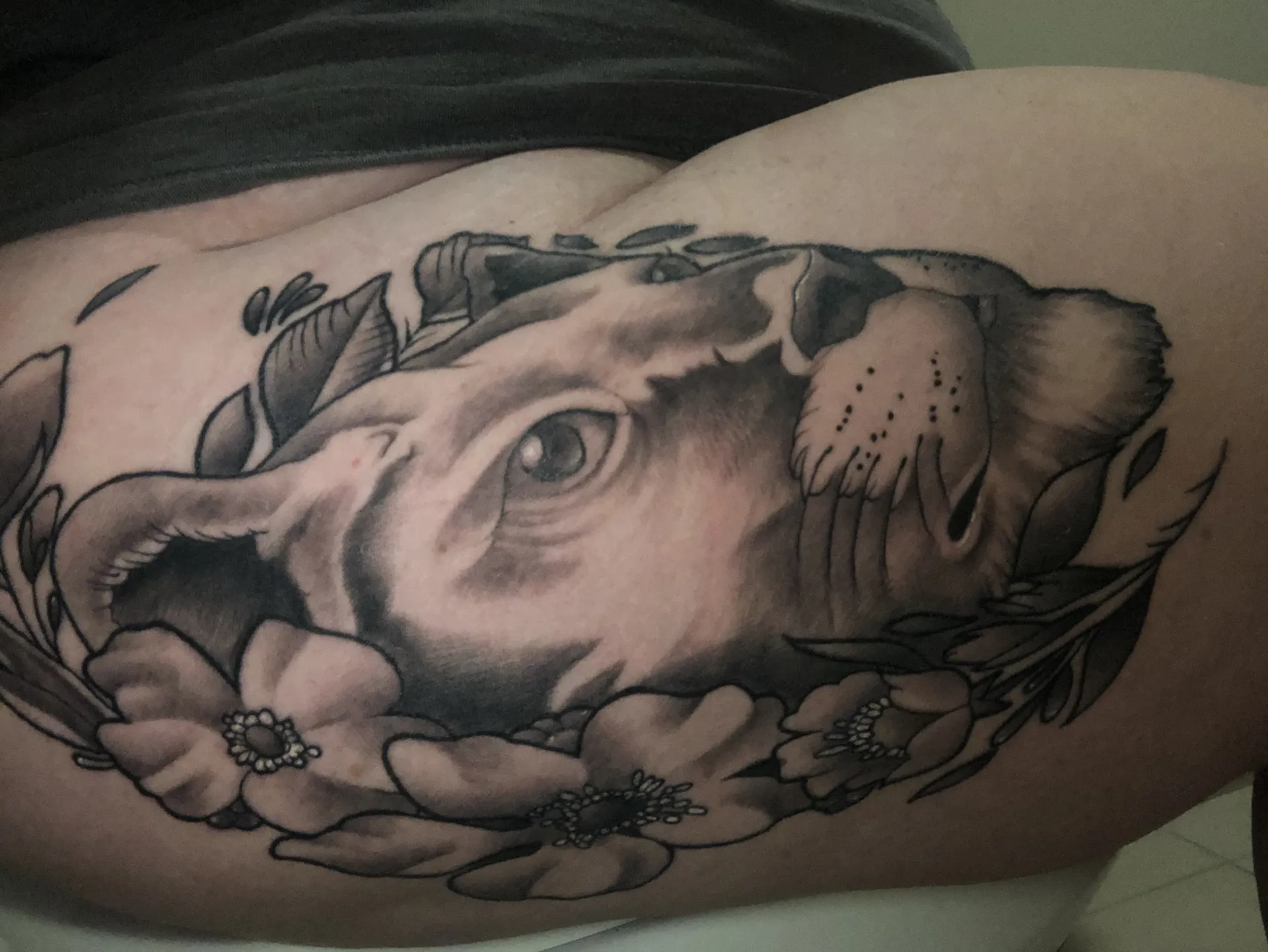 Phoenix OnlyFans header