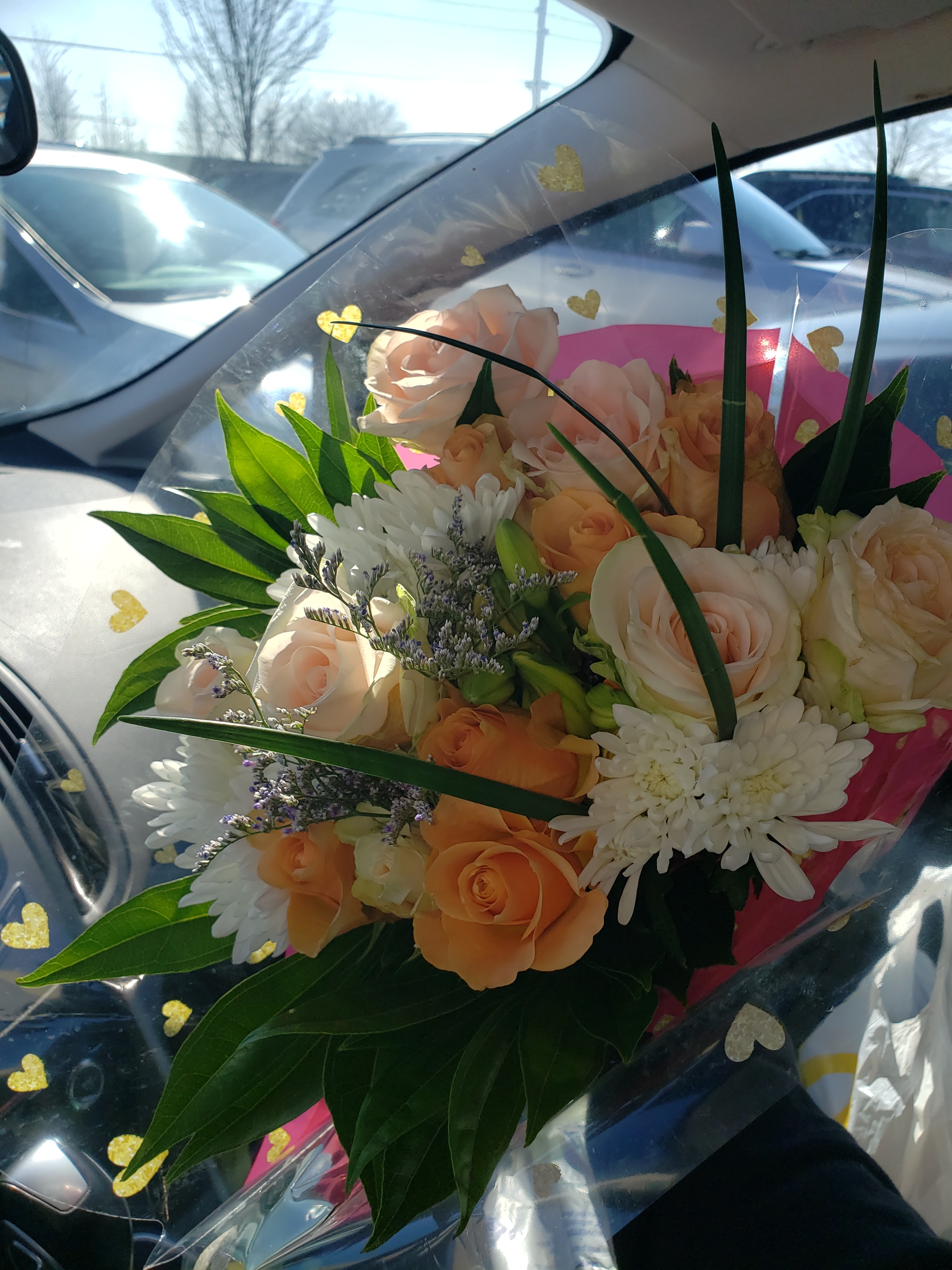 Kitten OnlyFans header