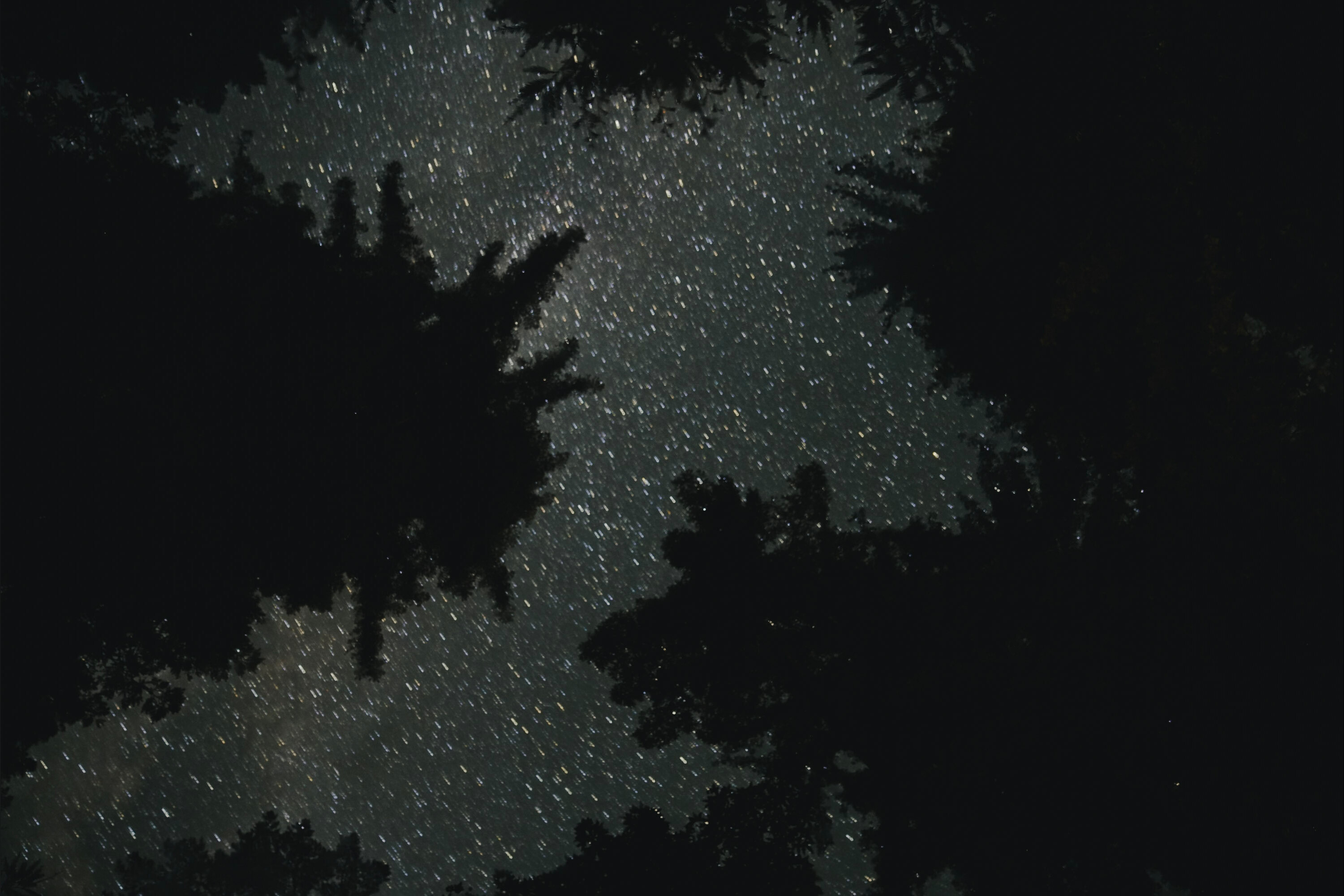 Fieticeira OnlyFans header