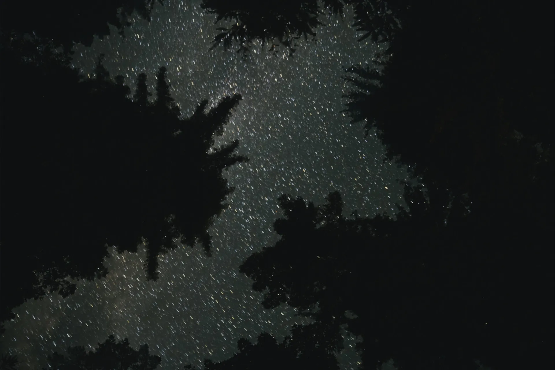 Fieticeira OnlyFans header