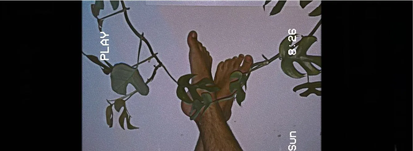 FiFeet OnlyFans header