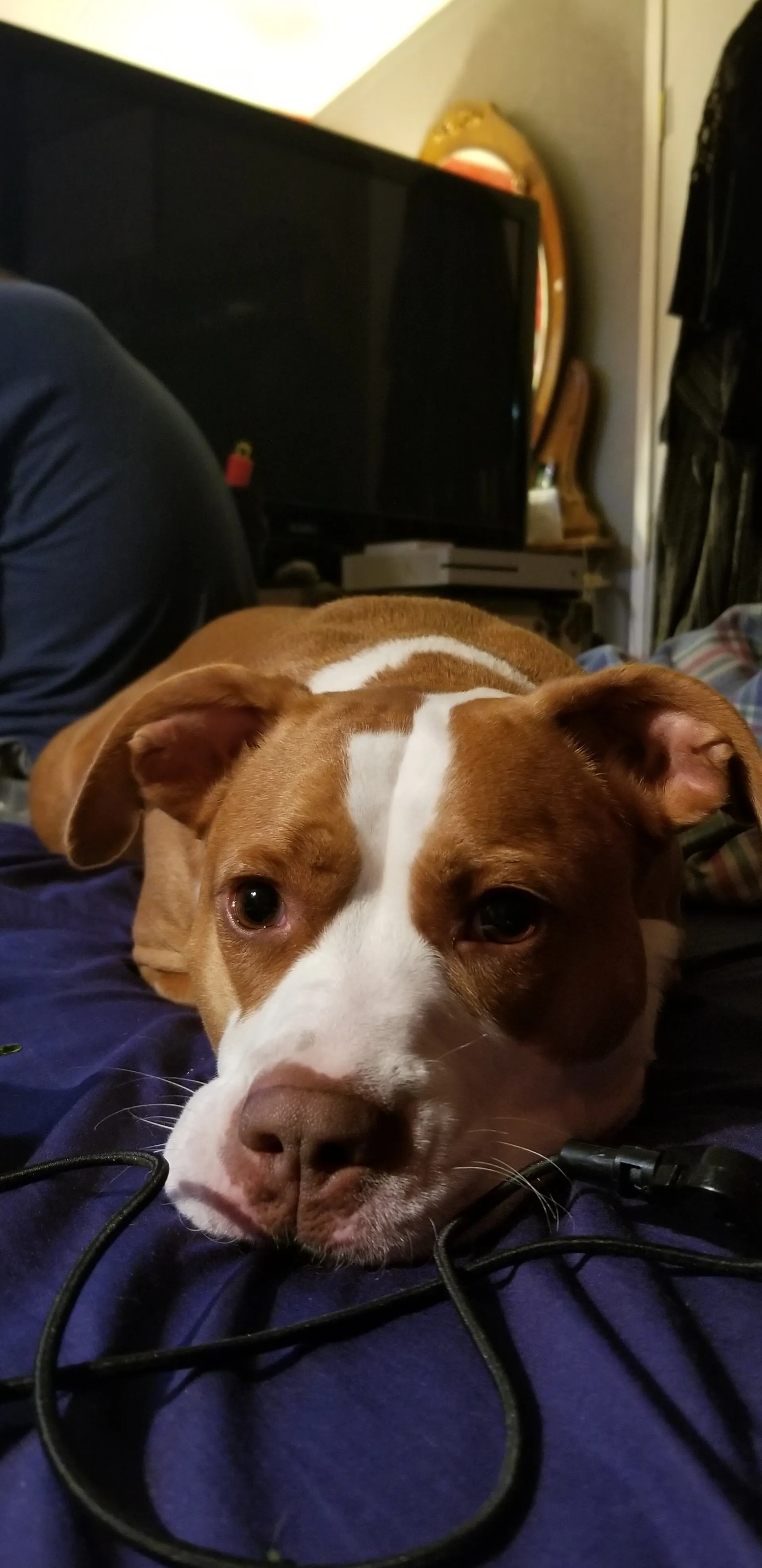 Jase OnlyFans header