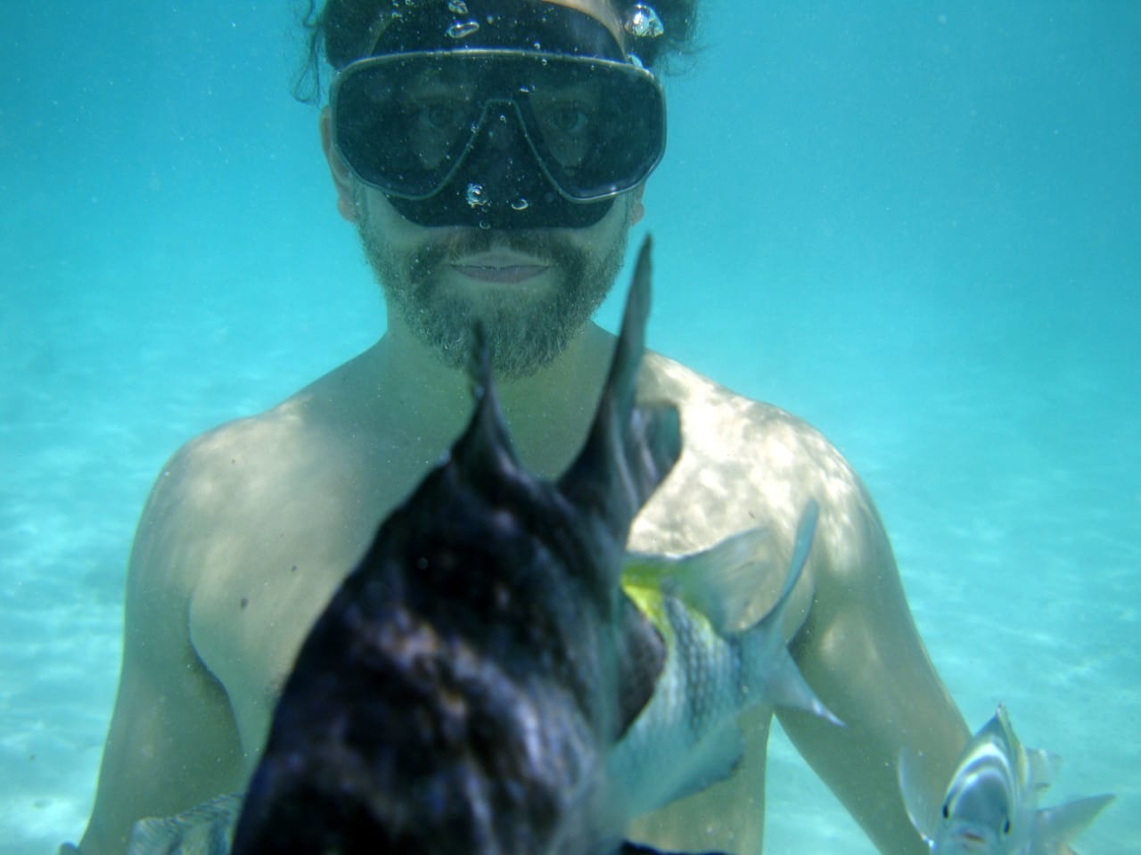 Filipe OnlyFans header