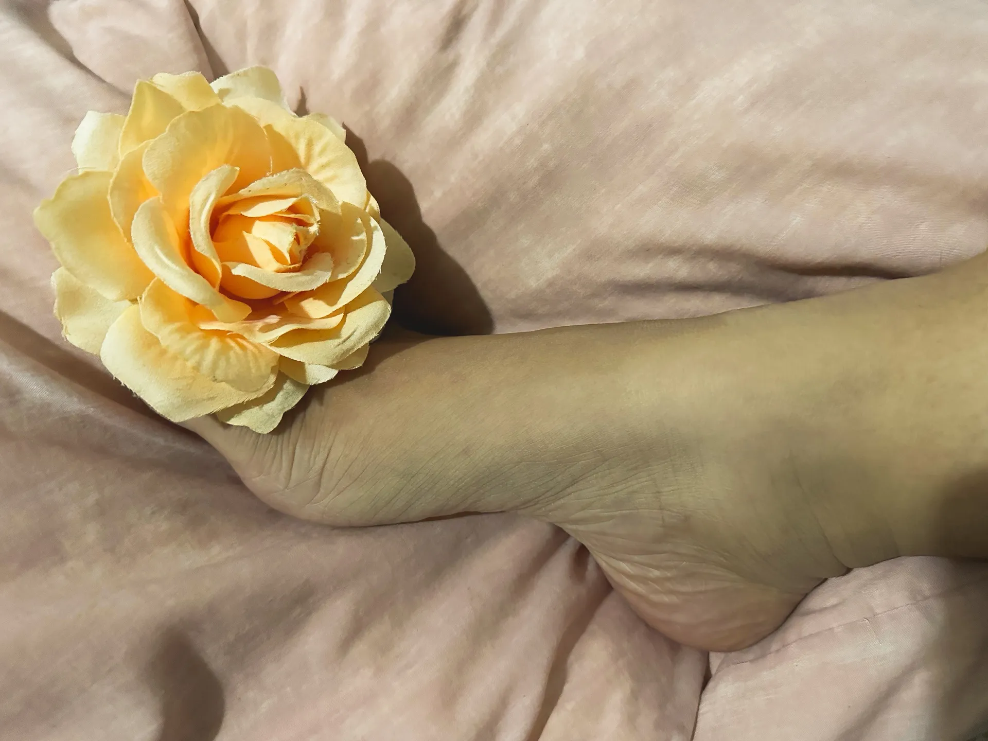 Filipina Feet 🇵🇭🦶🏼 OnlyFans header