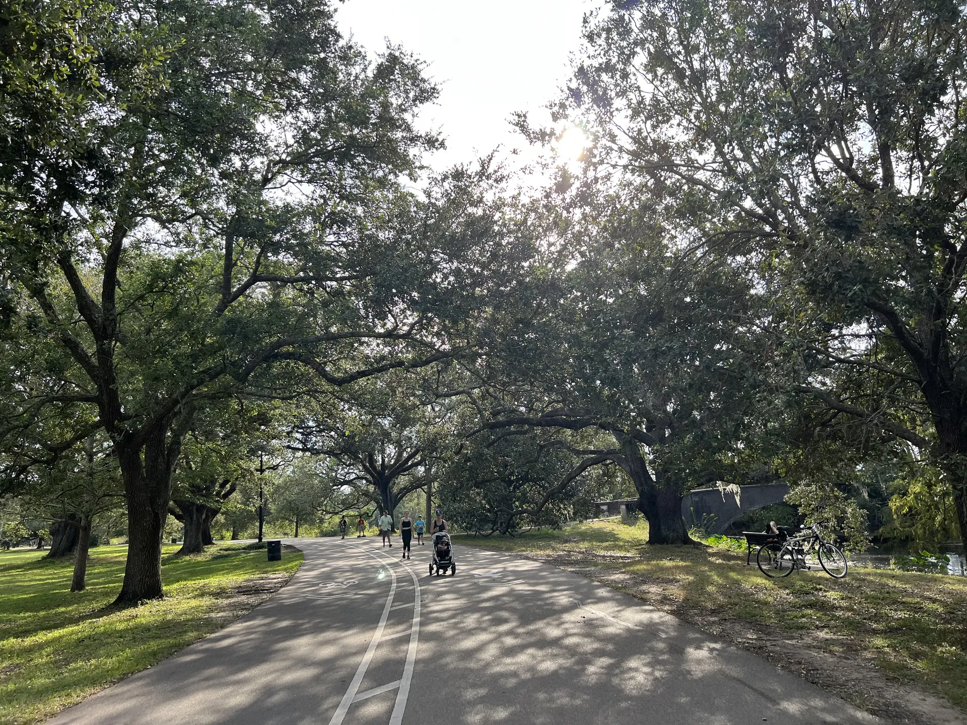 Nick M OnlyFans header