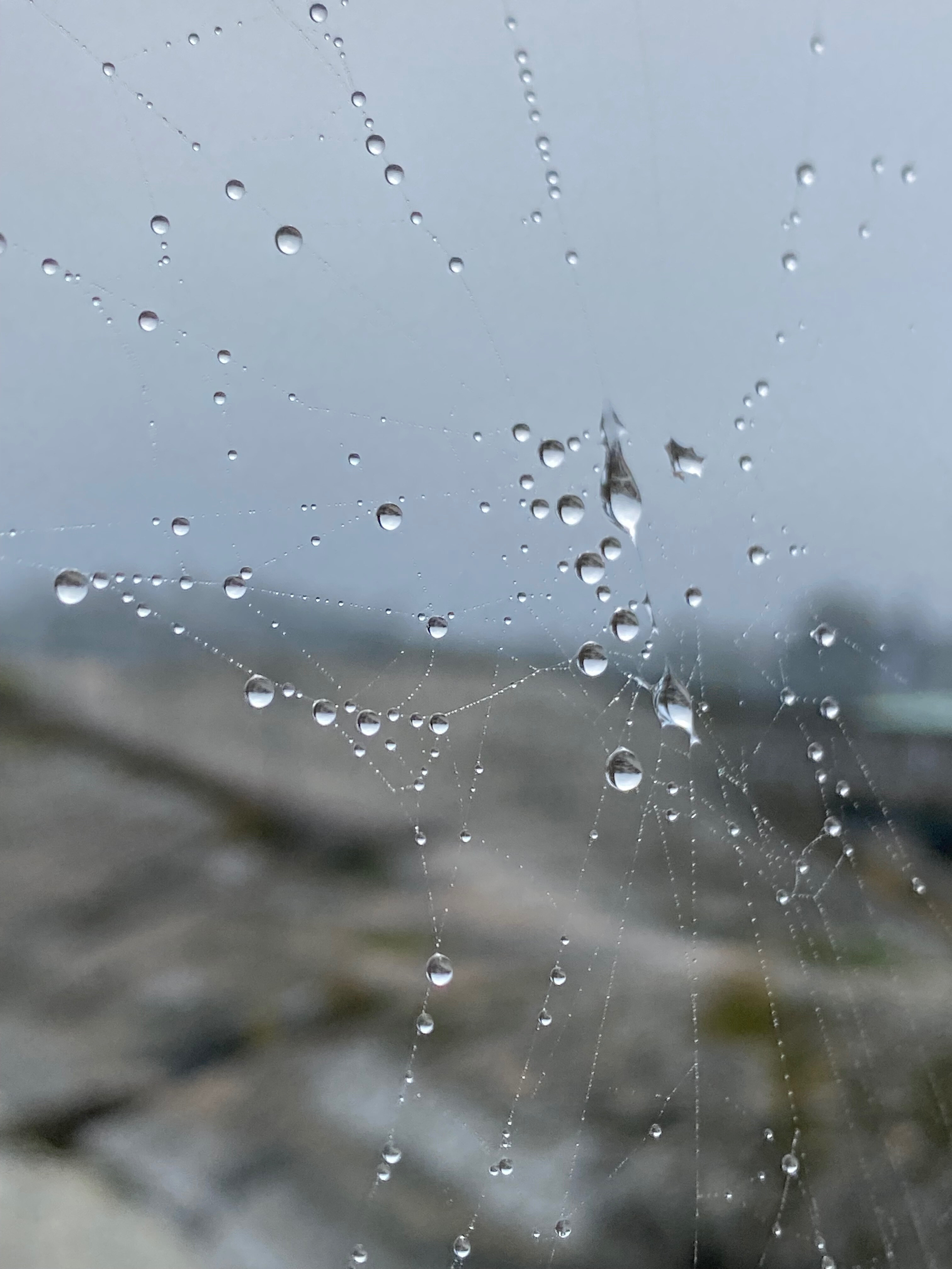 Filli OnlyFans header