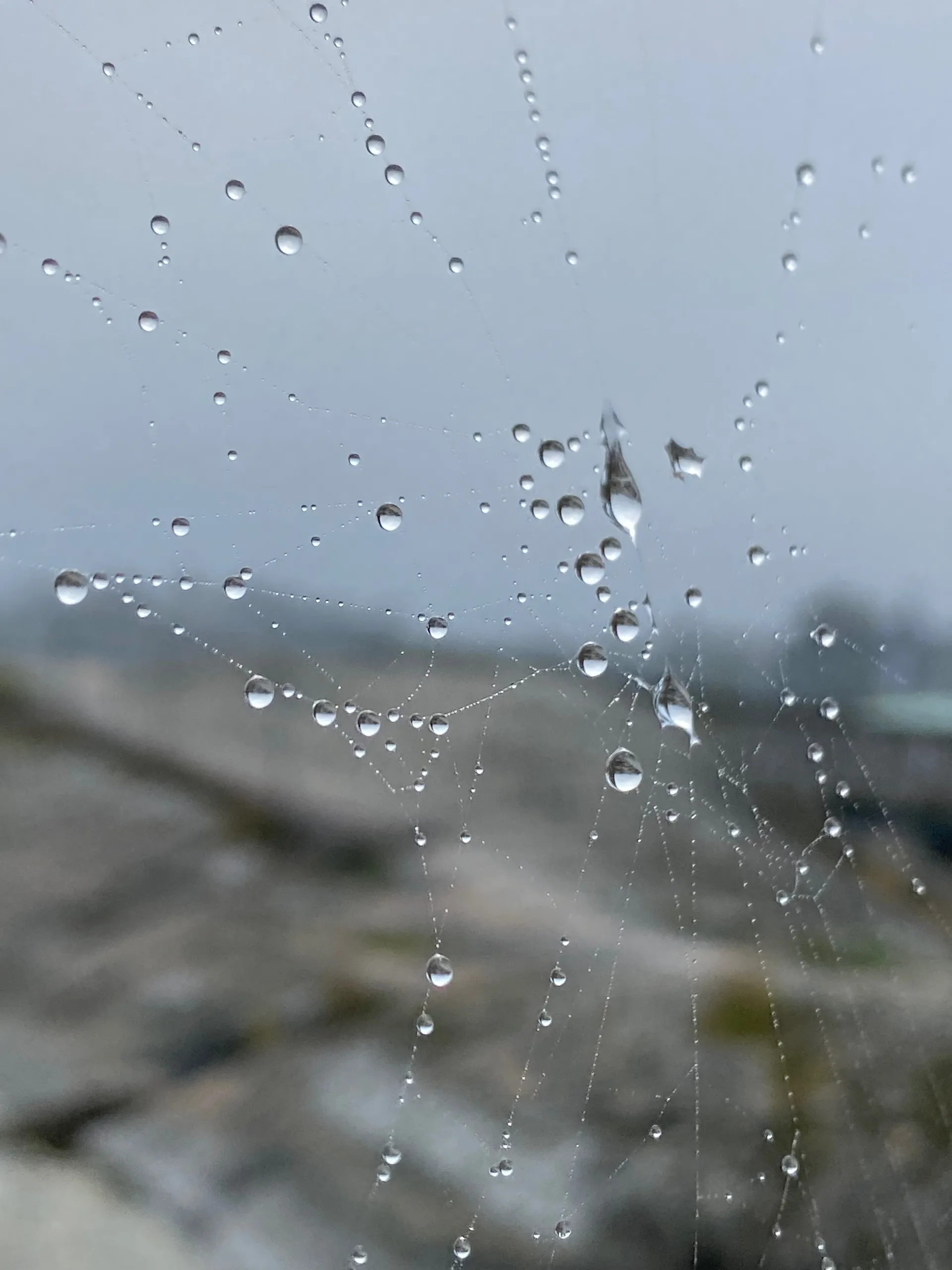 Filli OnlyFans header